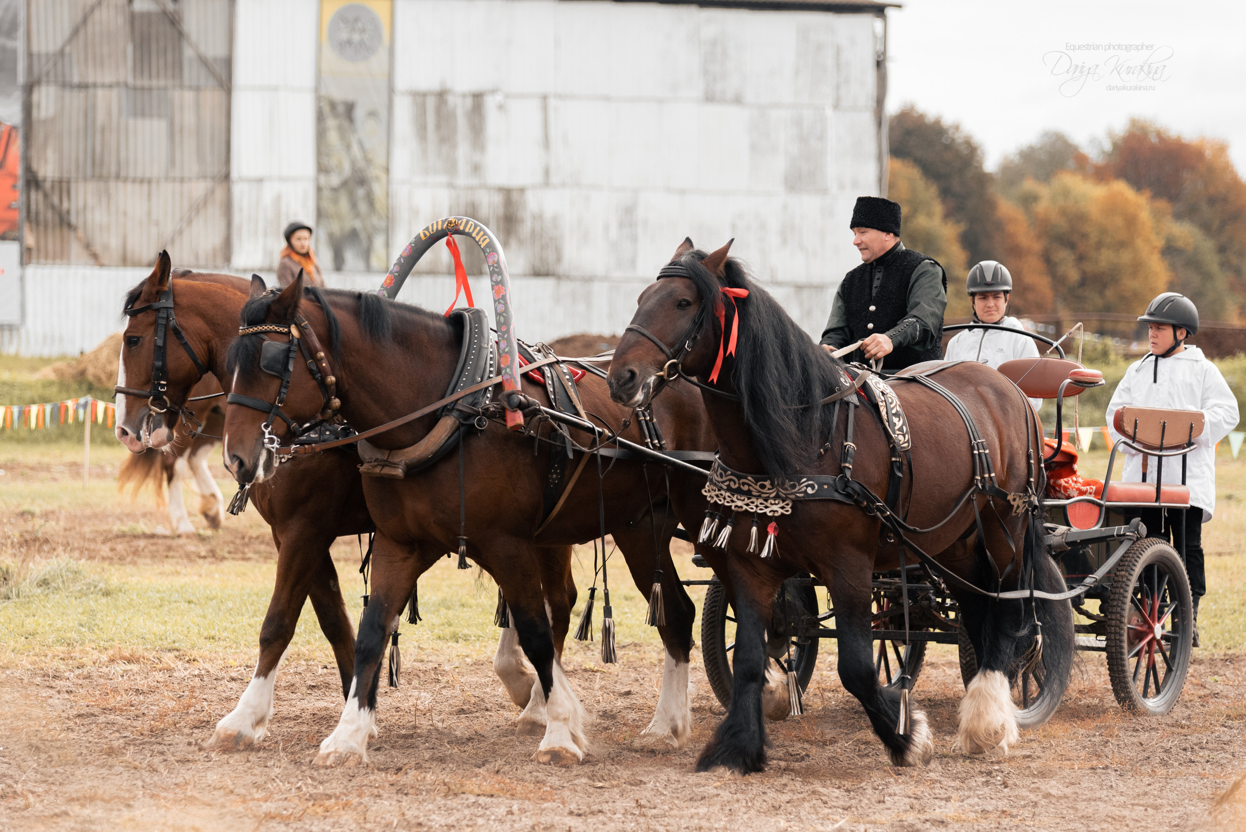 Богдарня. Конный фотограф Куракина Дарья • Фотосессии с лошадьми