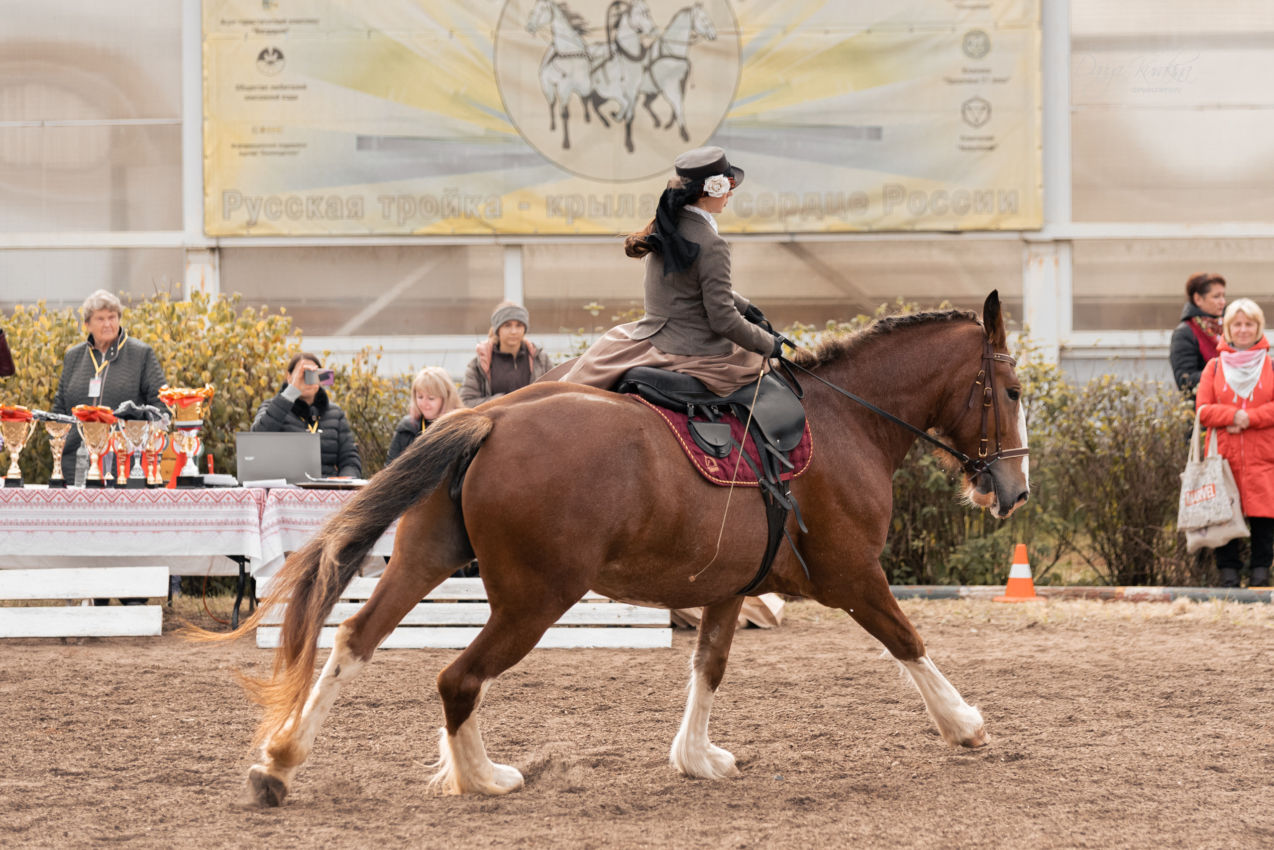 Богдарня. Конный фотограф Куракина Дарья • Фотосессии с лошадьми