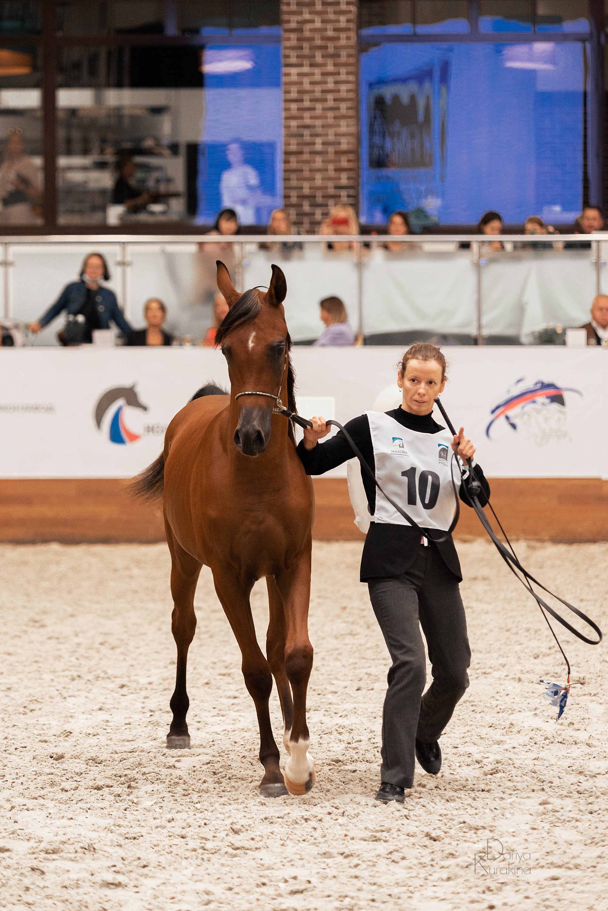 Конная Россия 2021. Конный фотограф Куракина Дарья • Фотосессии с лошадьми