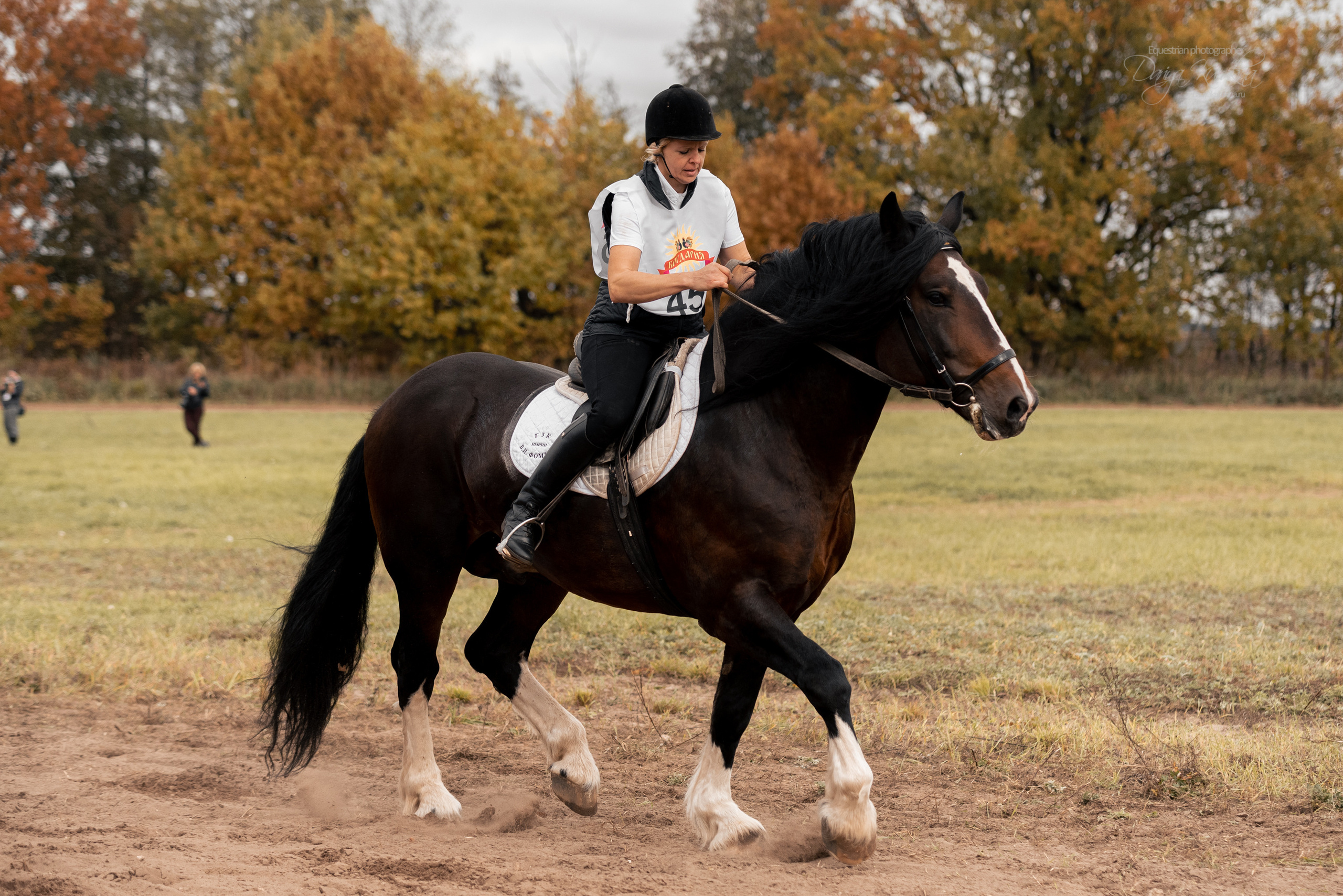 Богдарня. Конный фотограф Куракина Дарья • Фотосессии с лошадьми