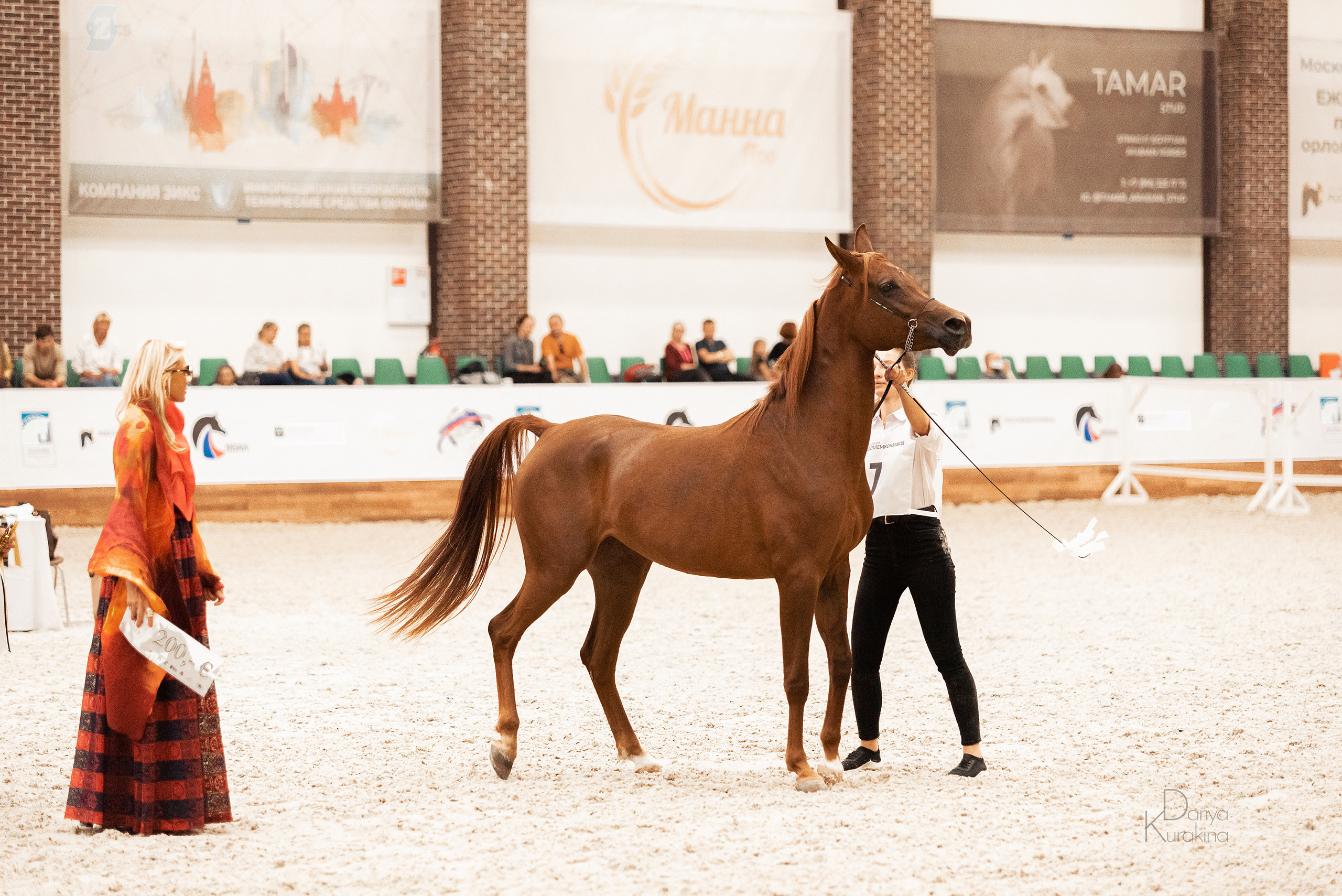 Конная Россия 2021. Конный фотограф Куракина Дарья • Фотосессии с лошадьми
