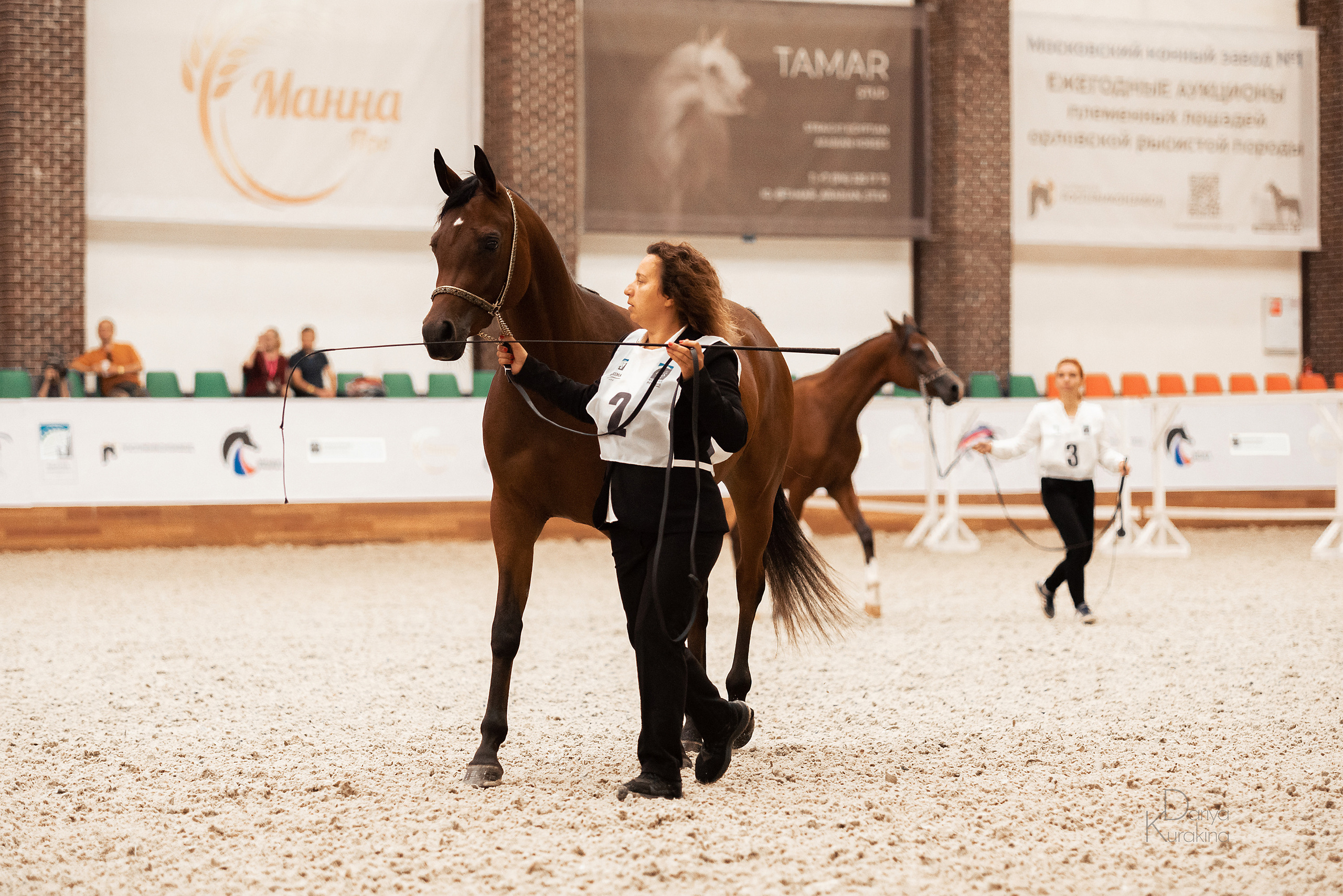 Конная Россия 2021. Конный фотограф Куракина Дарья • Фотосессии с лошадьми