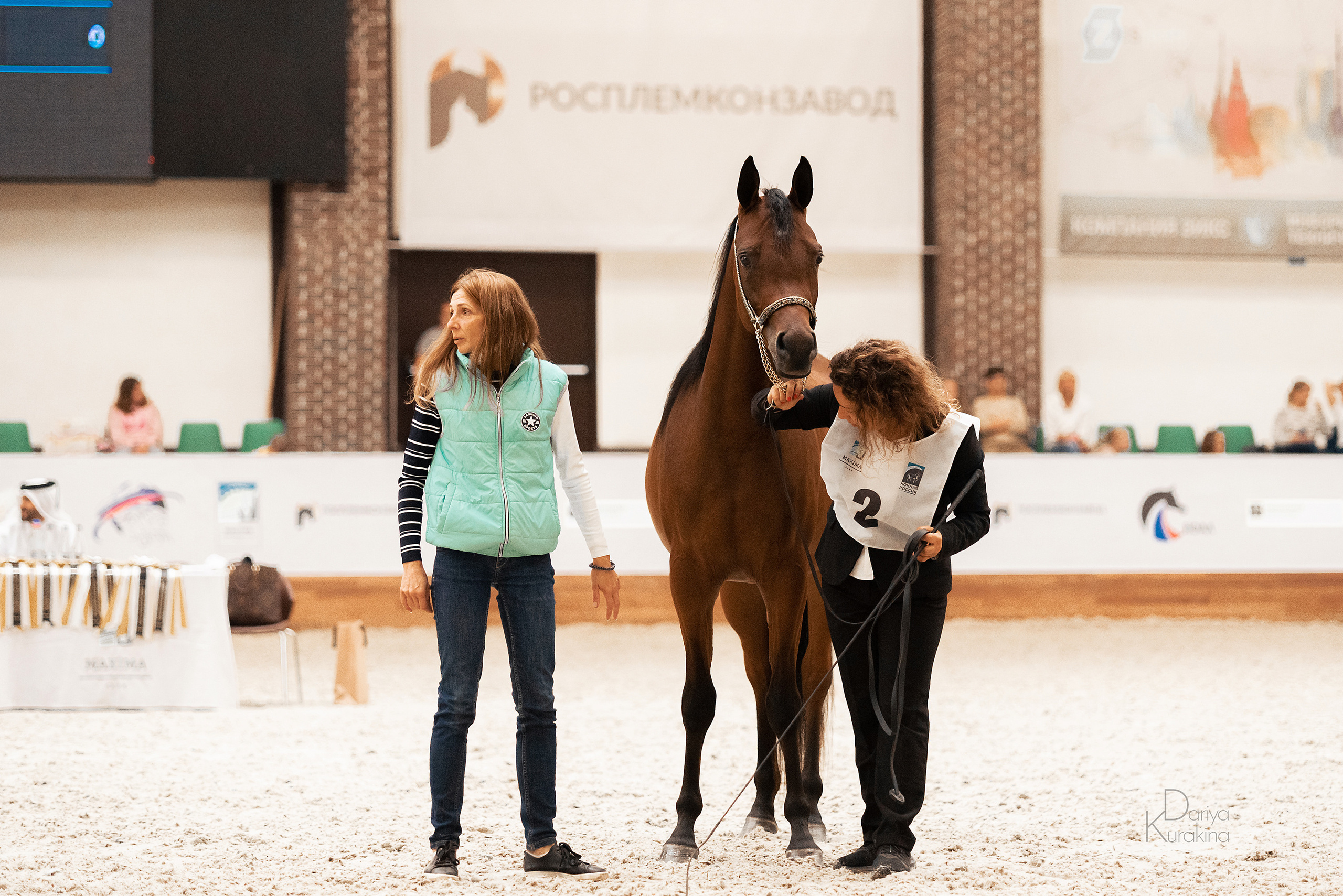 Конная Россия 2021. Конный фотограф Куракина Дарья • Фотосессии с лошадьми