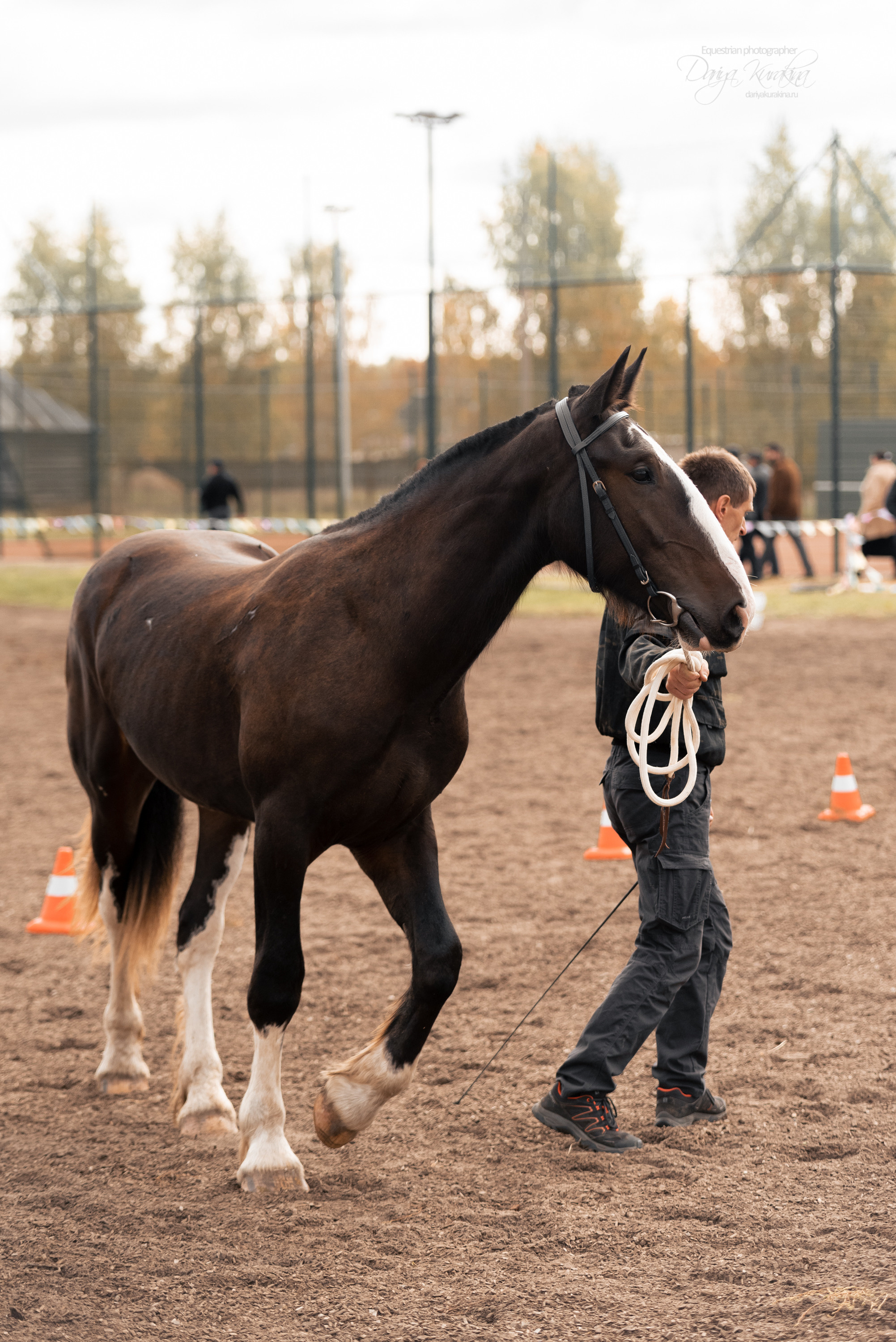 Богдарня. Конный фотограф Куракина Дарья • Фотосессии с лошадьми
