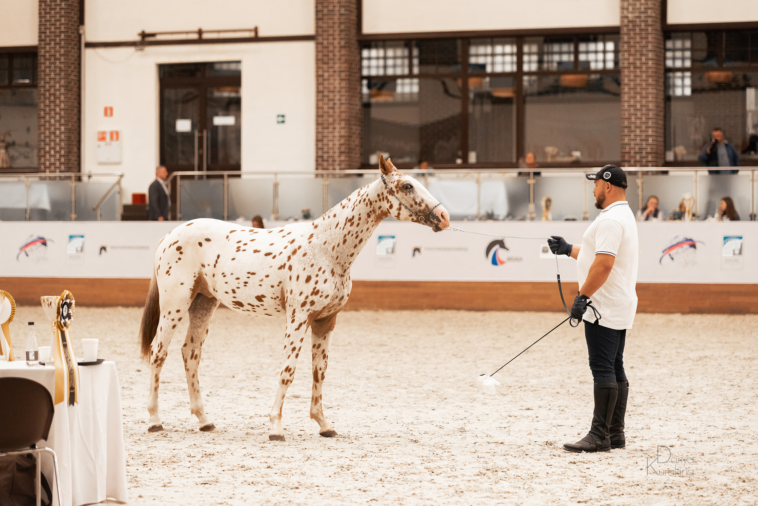 Конная Россия 2021. Конный фотограф Куракина Дарья • Фотосессии с лошадьми