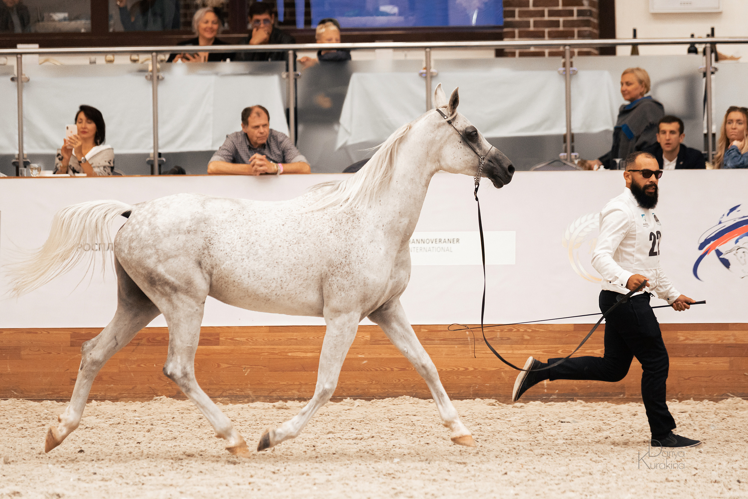 Конная Россия 2021. Конный фотограф Куракина Дарья • Фотосессии с лошадьми