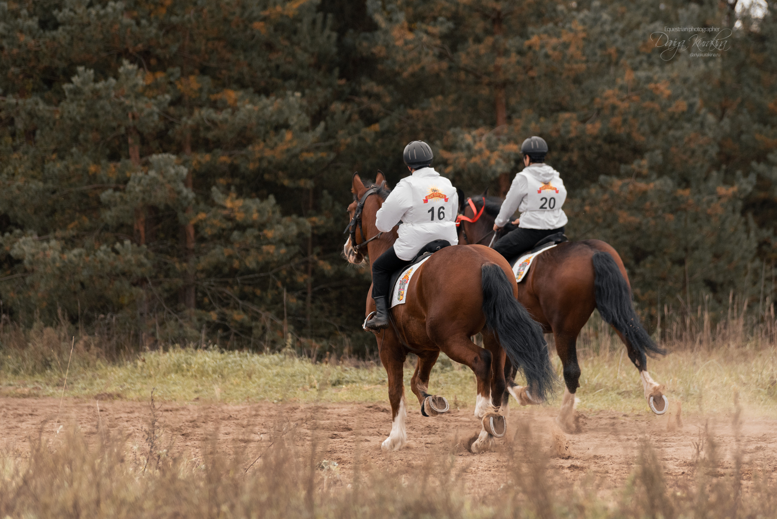 Богдарня. Конный фотограф Куракина Дарья • Фотосессии с лошадьми