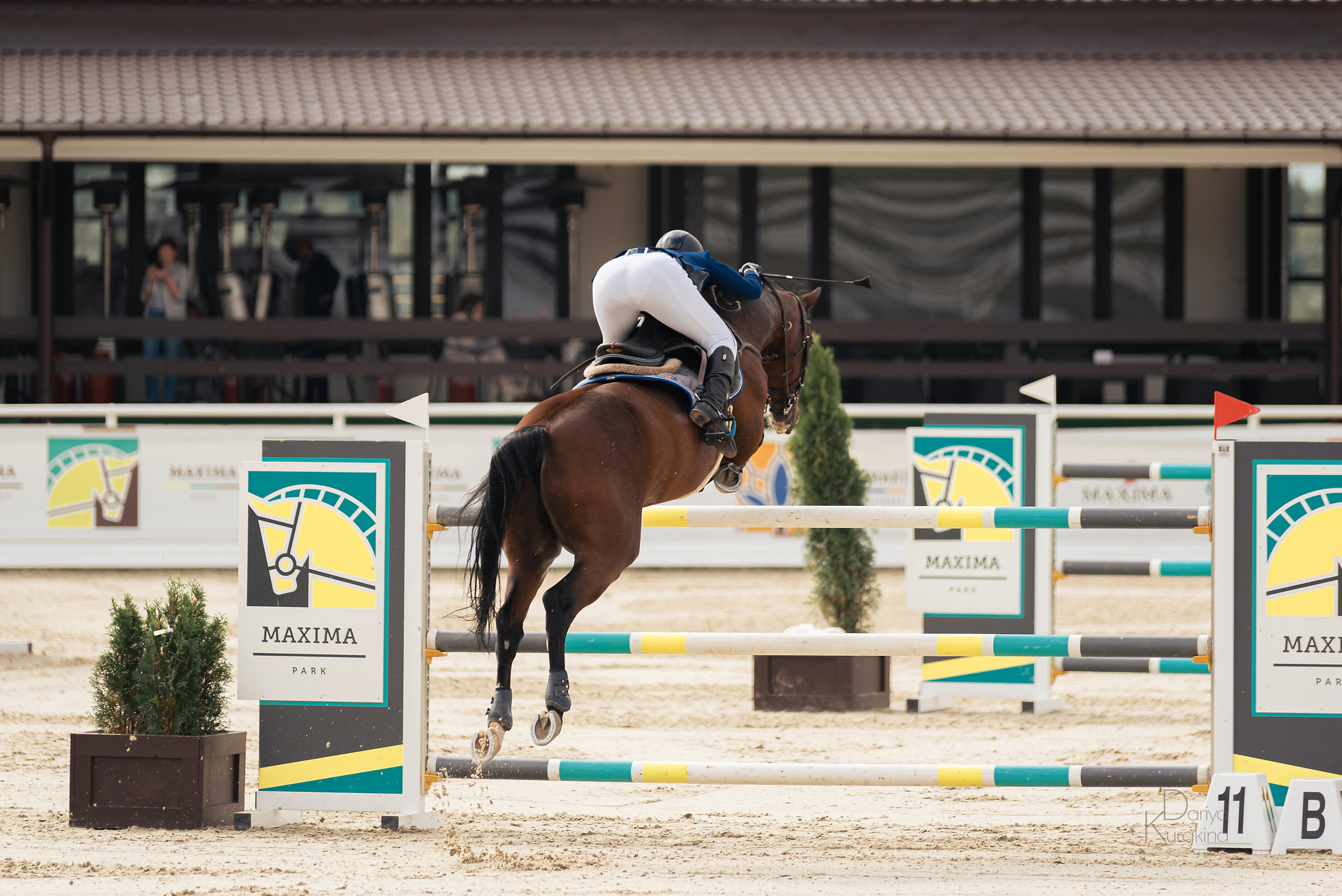 Конная Россия 2021. Конный фотограф Куракина Дарья • Фотосессии с лошадьми