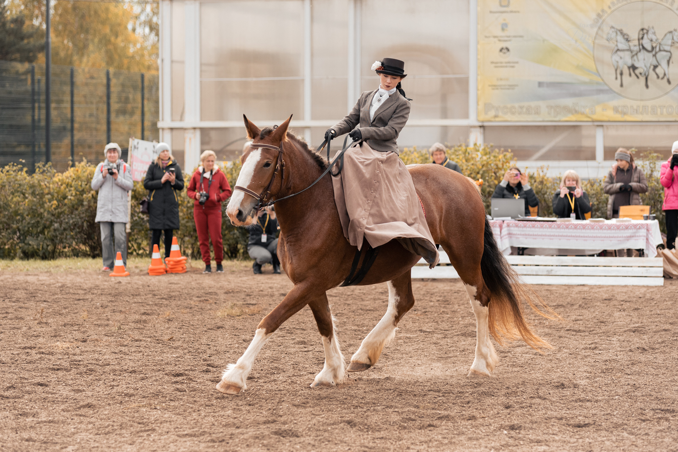 Богдарня. Конный фотограф Куракина Дарья • Фотосессии с лошадьми