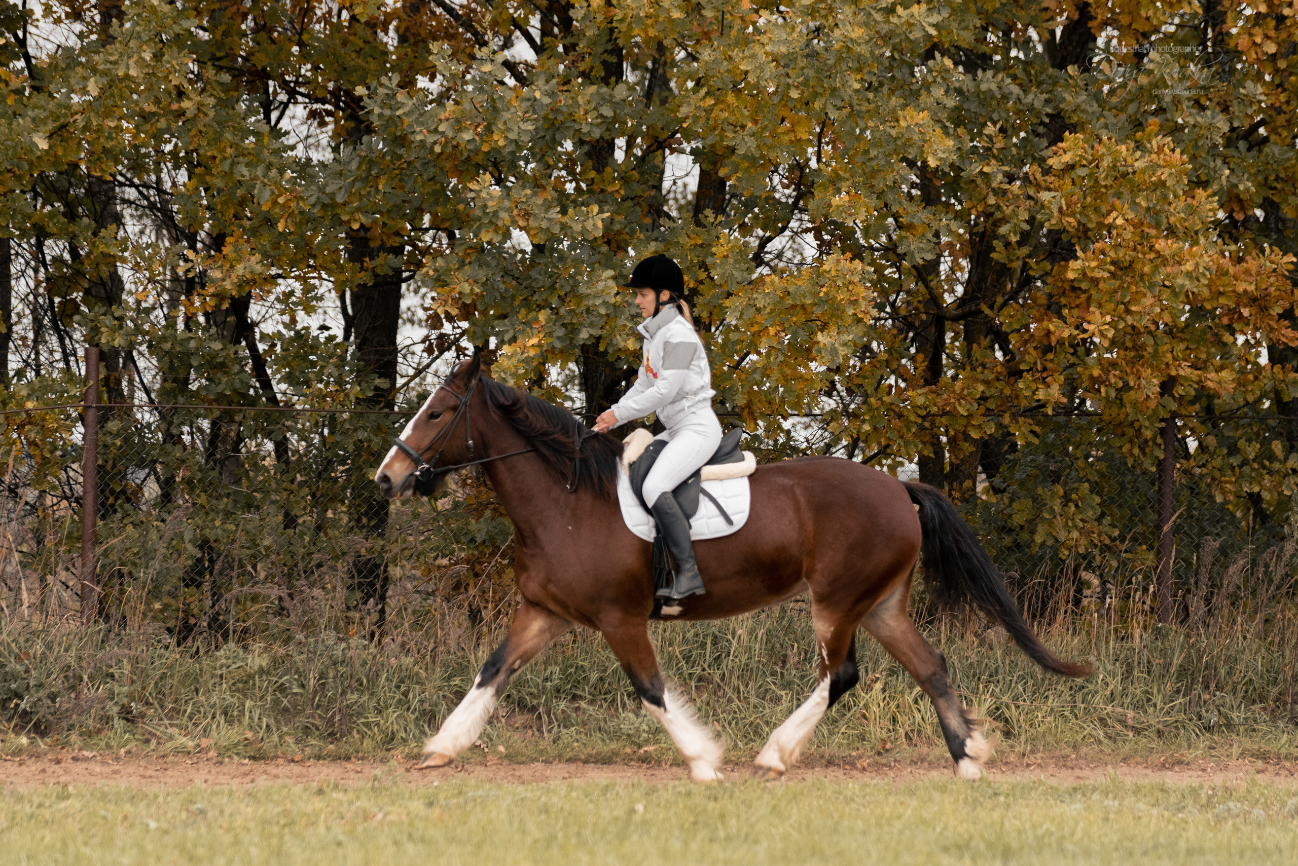 Богдарня. Конный фотограф Куракина Дарья • Фотосессии с лошадьми