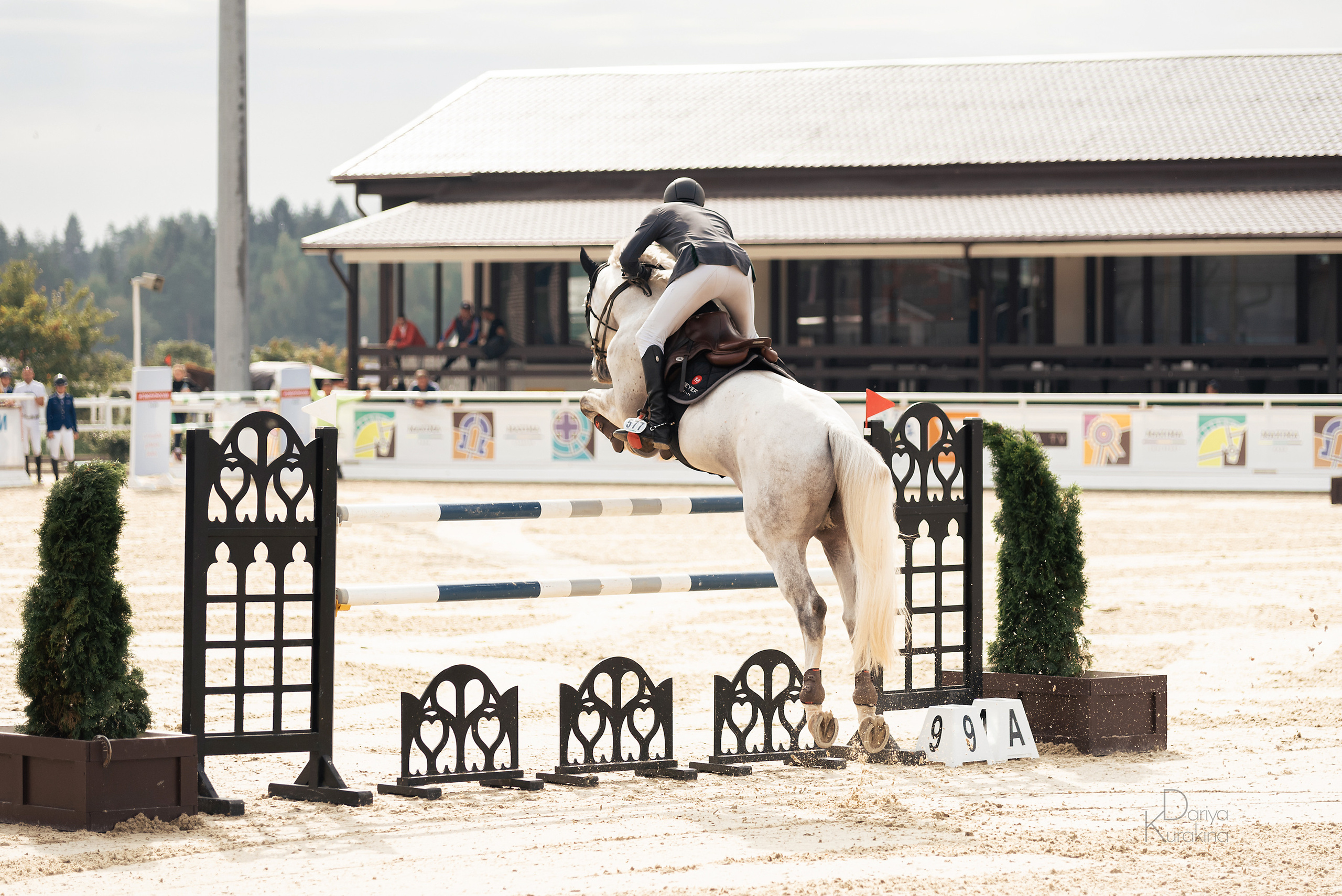 Конная Россия 2021. Конный фотограф Куракина Дарья • Фотосессии с лошадьми