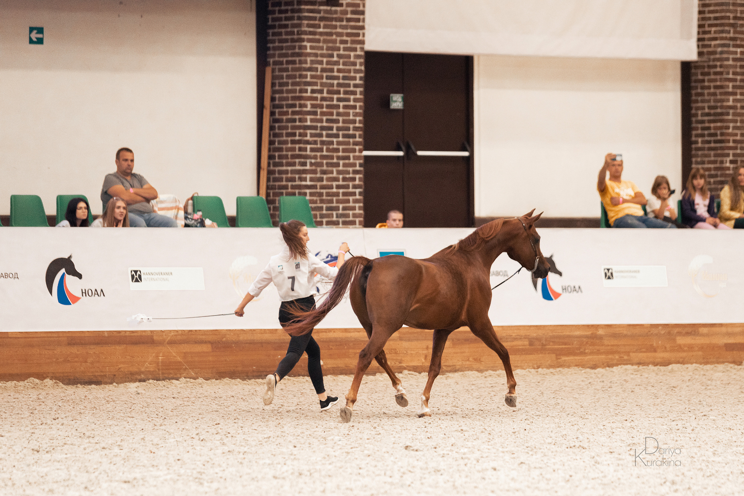 Конная Россия 2021. Конный фотограф Куракина Дарья • Фотосессии с лошадьми