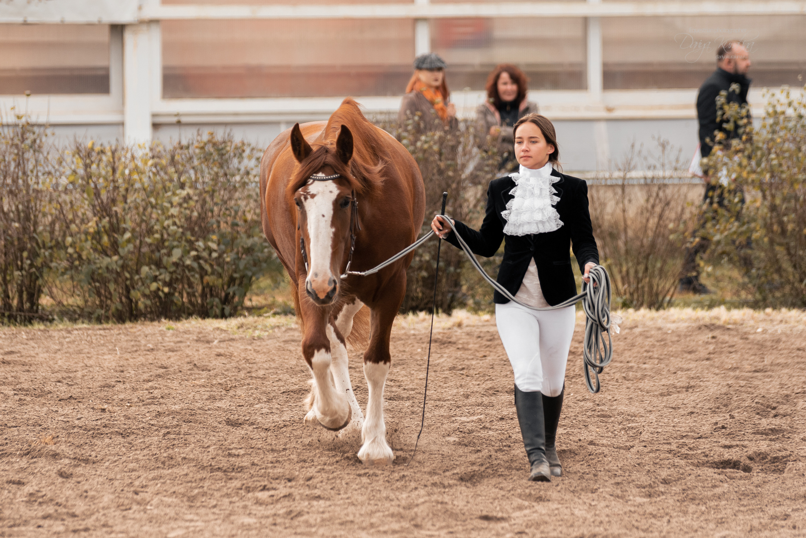 Богдарня. Конный фотограф Куракина Дарья • Фотосессии с лошадьми