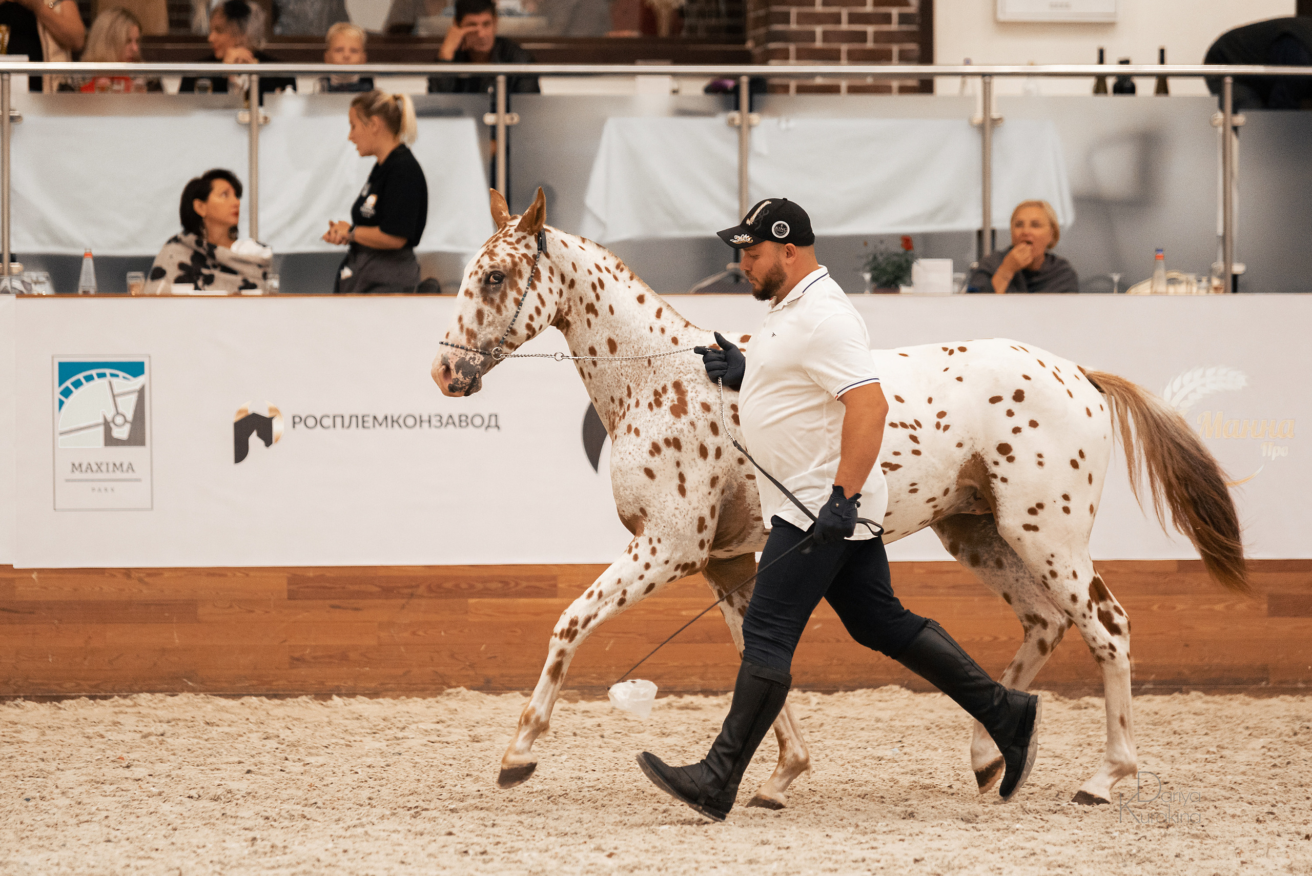 Конная Россия 2021. Конный фотограф Куракина Дарья • Фотосессии с лошадьми