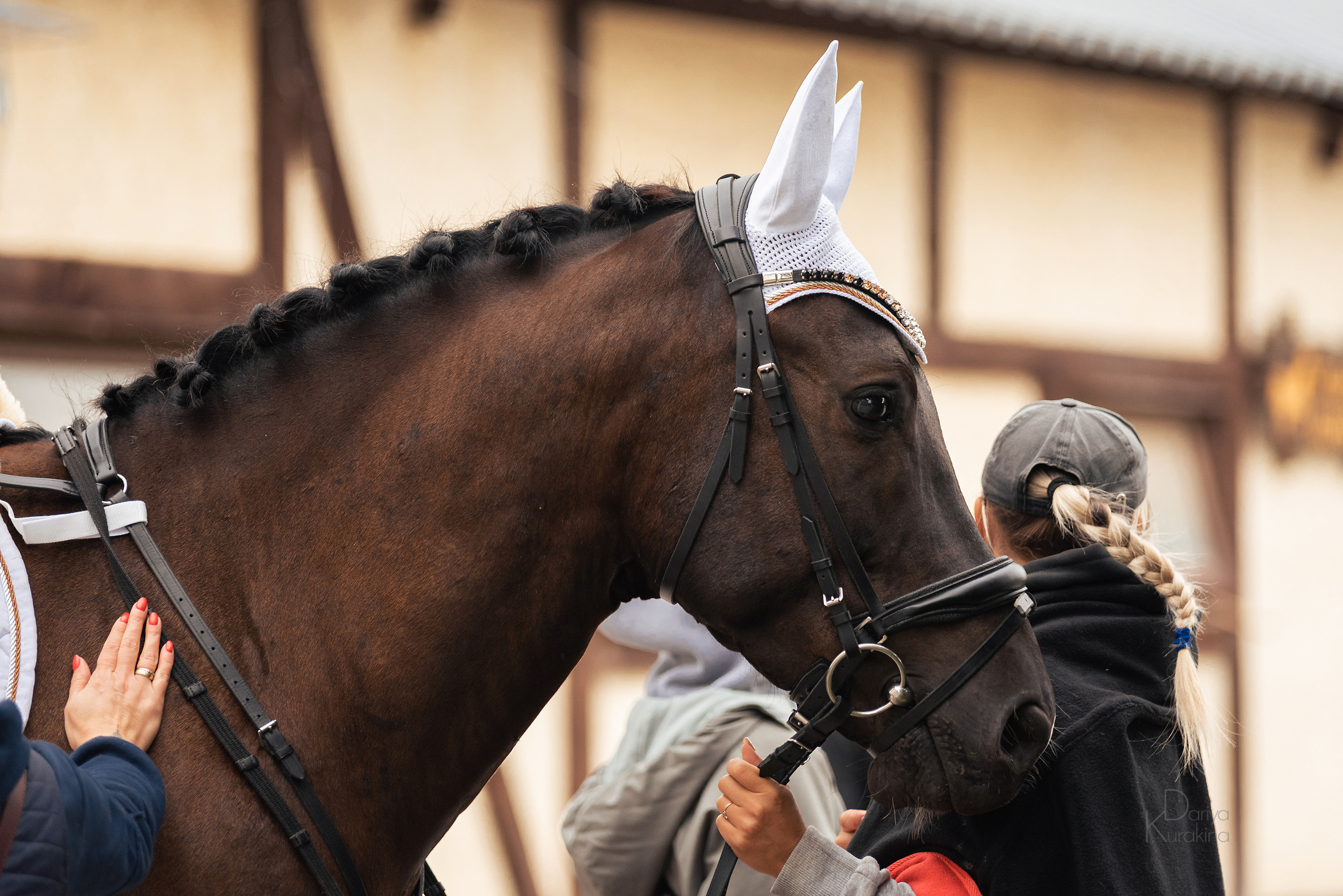 КСК Белая Дача, конкур. Конный фотограф Куракина Дарья • Фотосессии с лошадьми