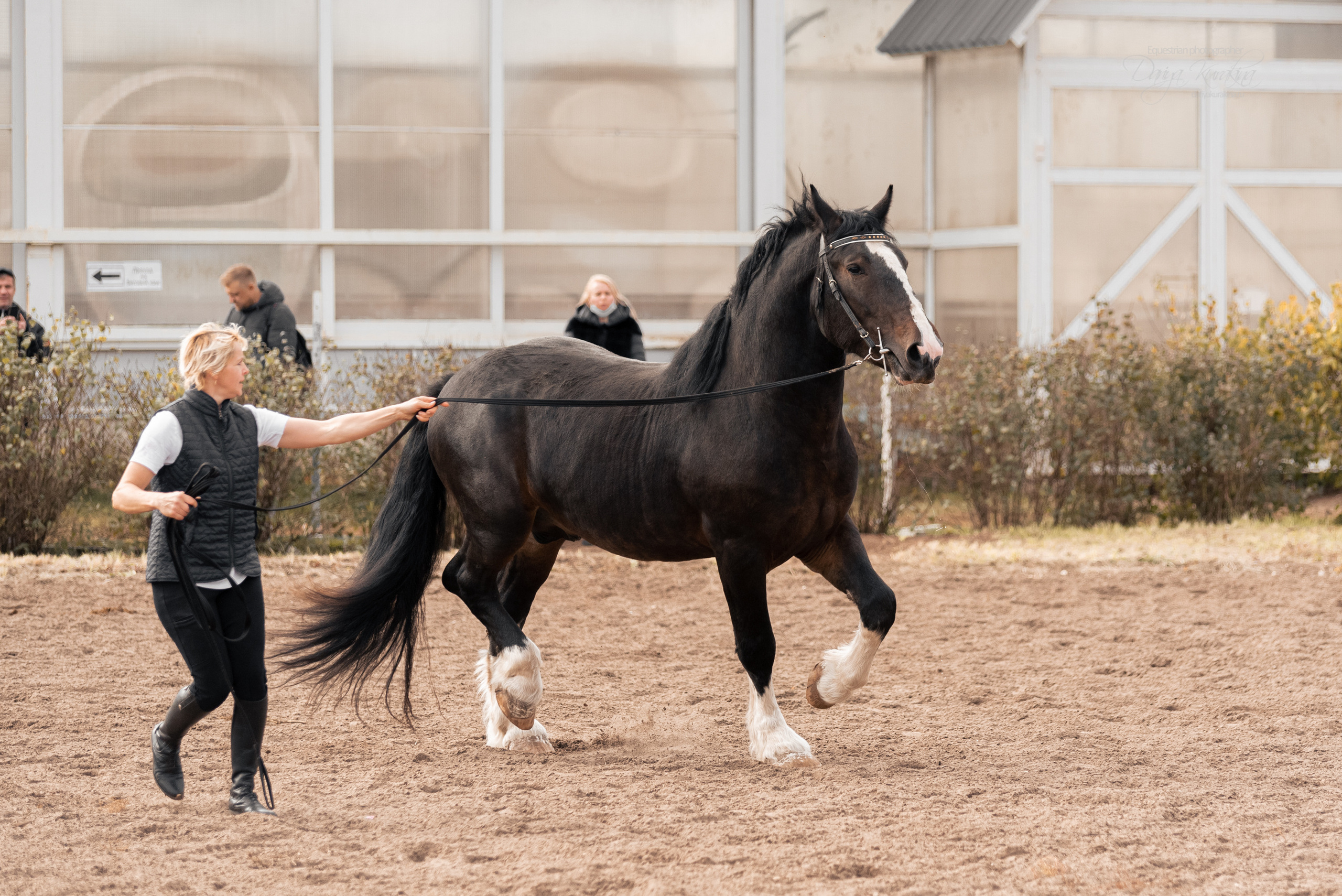 Богдарня. Конный фотограф Куракина Дарья • Фотосессии с лошадьми