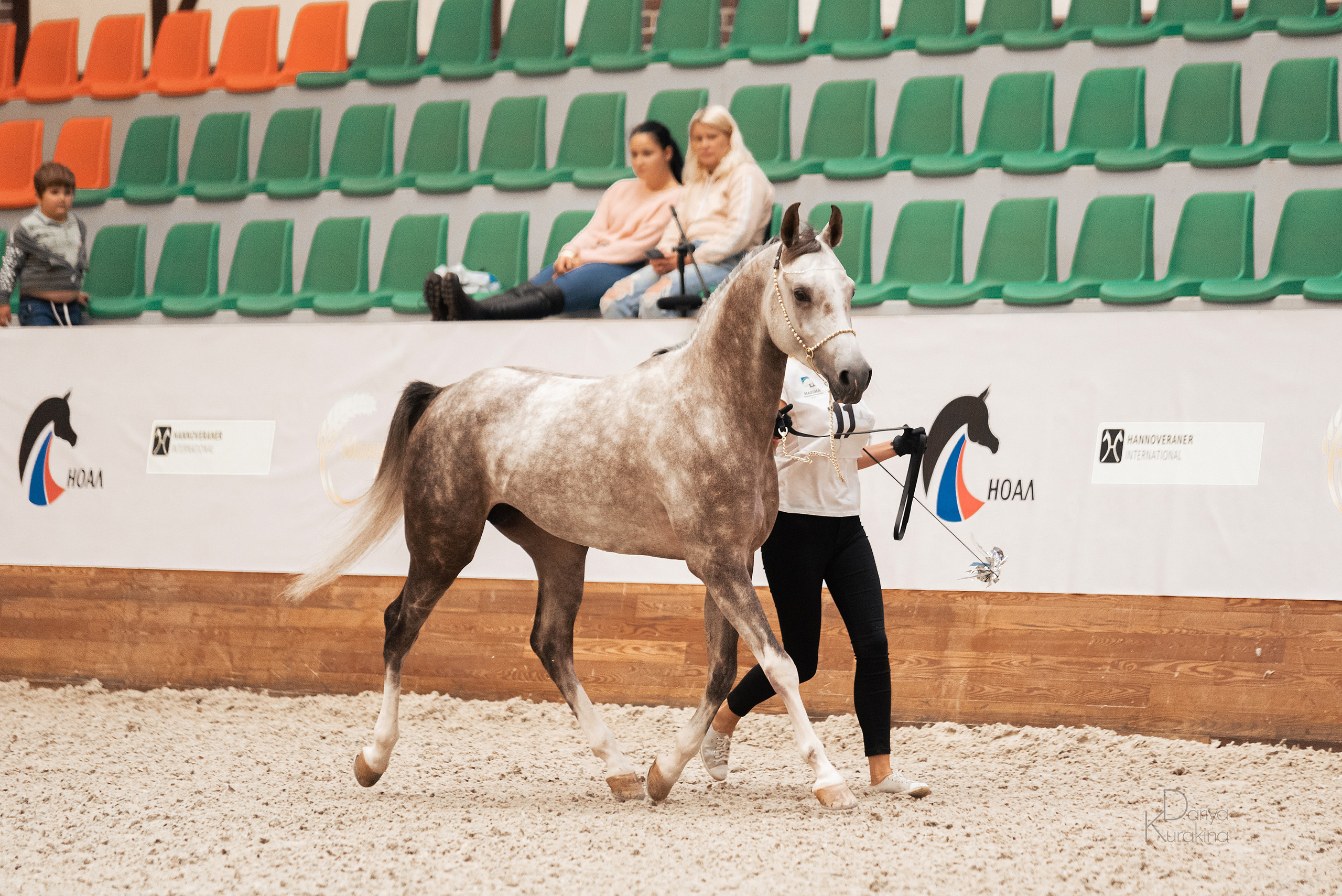 Конная Россия 2021. Конный фотограф Куракина Дарья • Фотосессии с лошадьми