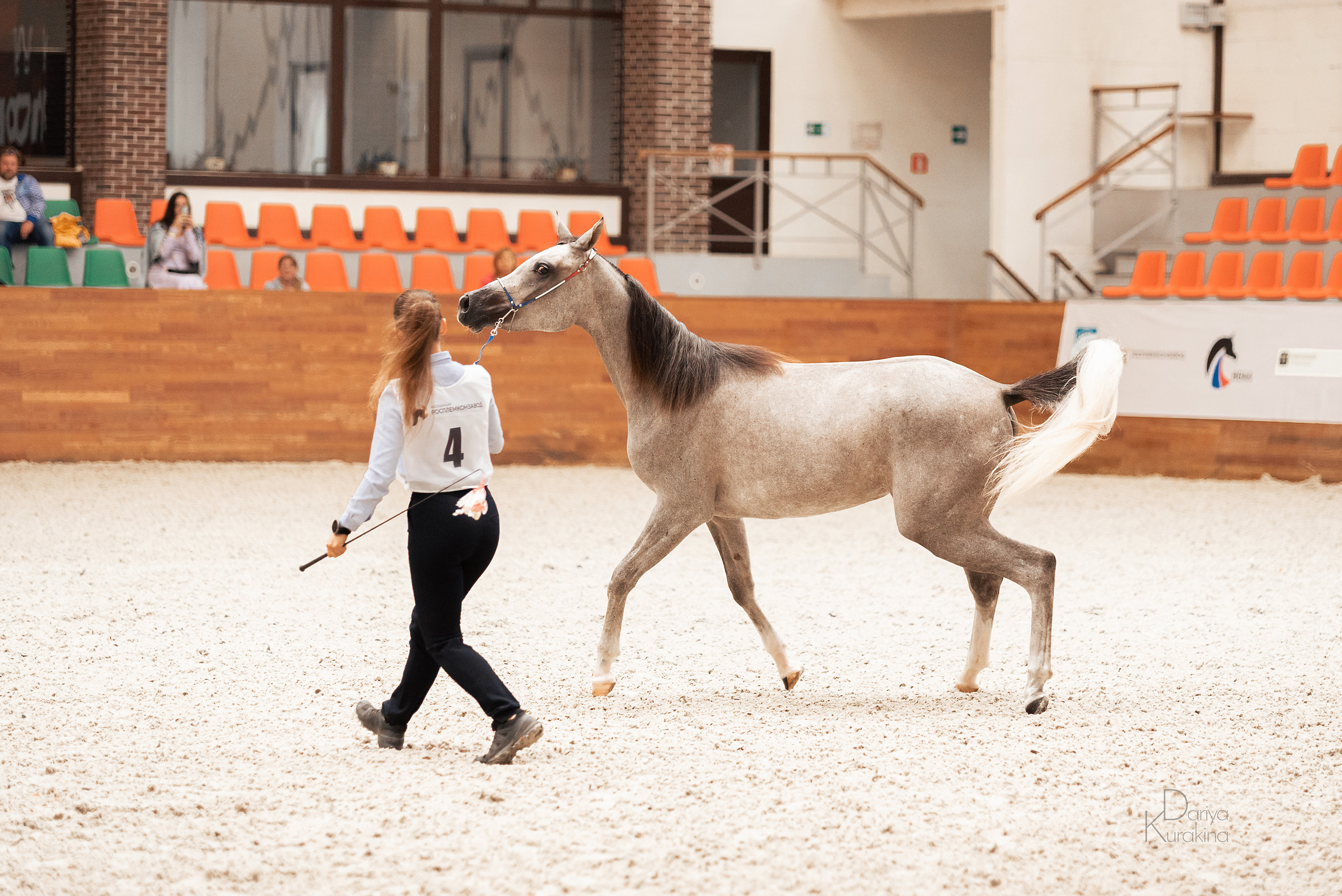 Конная Россия 2021. Конный фотограф Куракина Дарья • Фотосессии с лошадьми