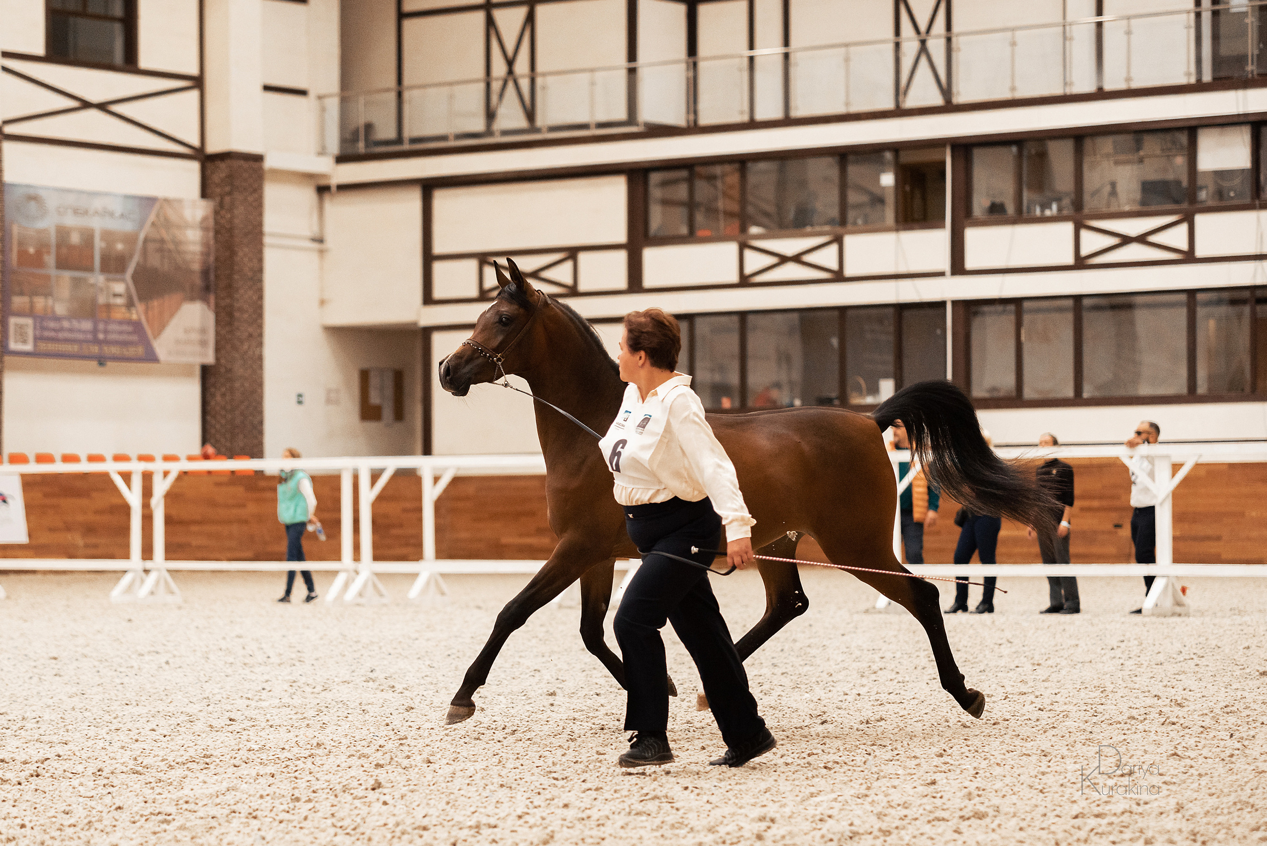 Конная Россия 2021. Конный фотограф Куракина Дарья • Фотосессии с лошадьми