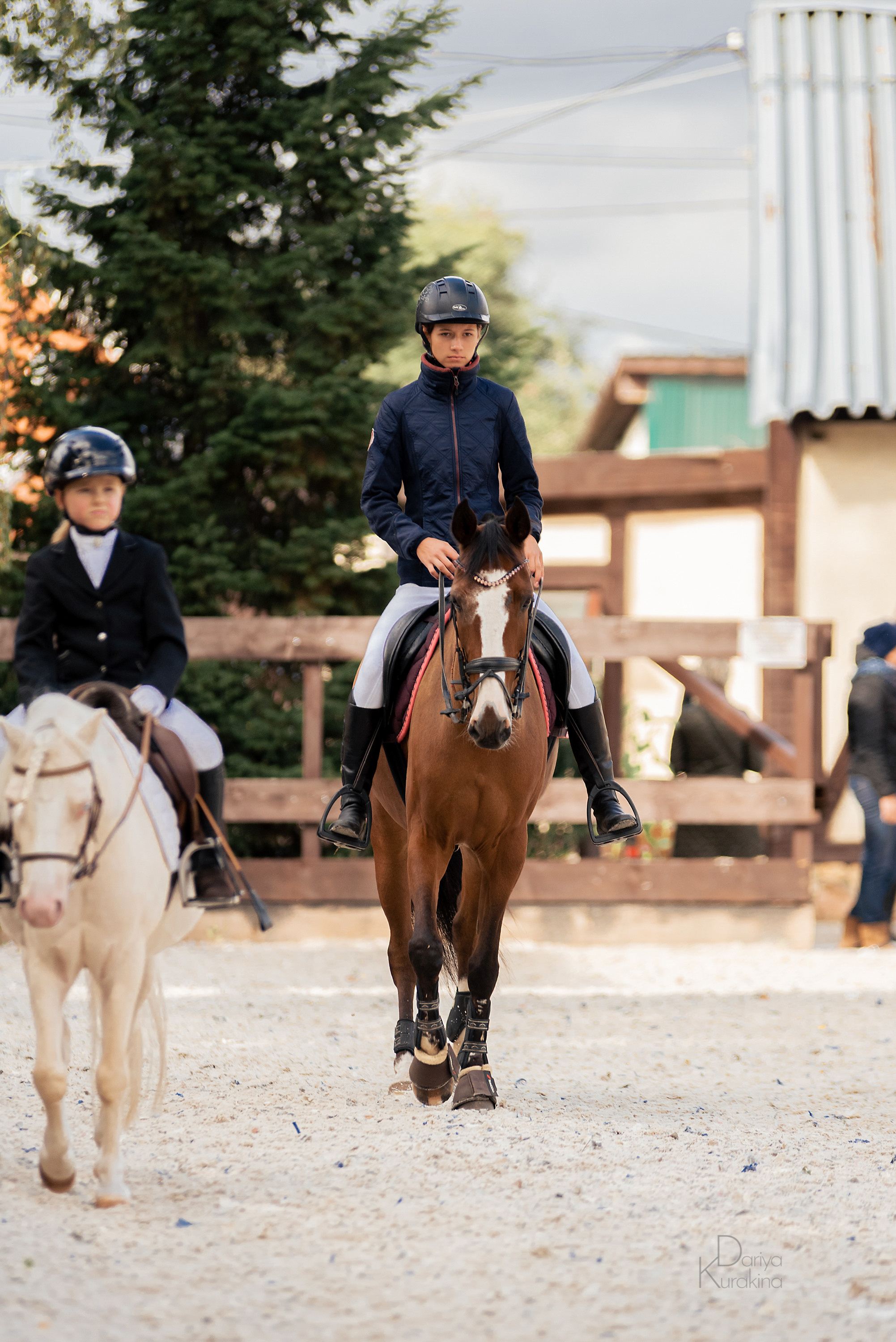 КСК Белая Дача, конкур. Конный фотограф Куракина Дарья • Фотосессии с лошадьми