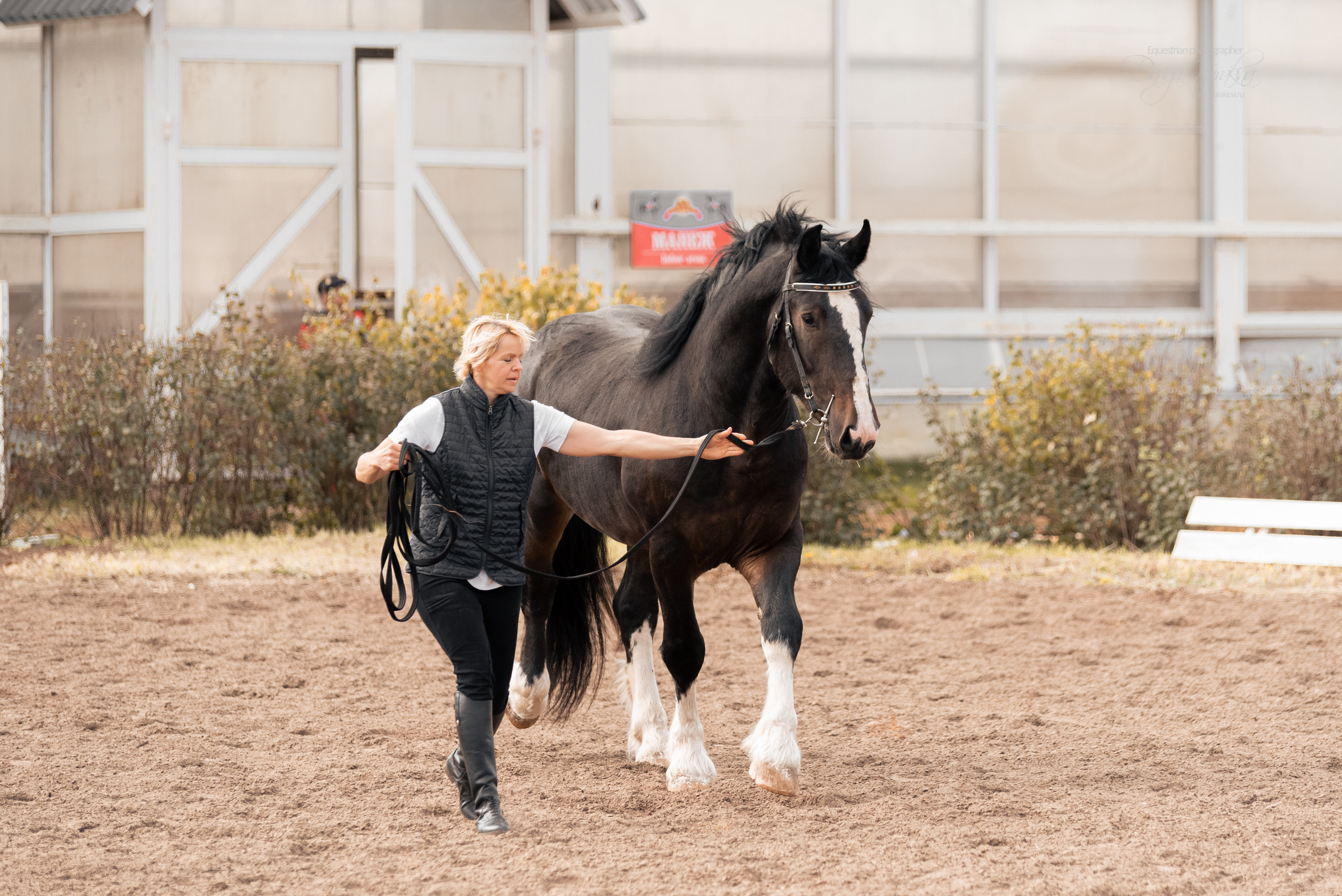 Богдарня. Конный фотограф Куракина Дарья • Фотосессии с лошадьми