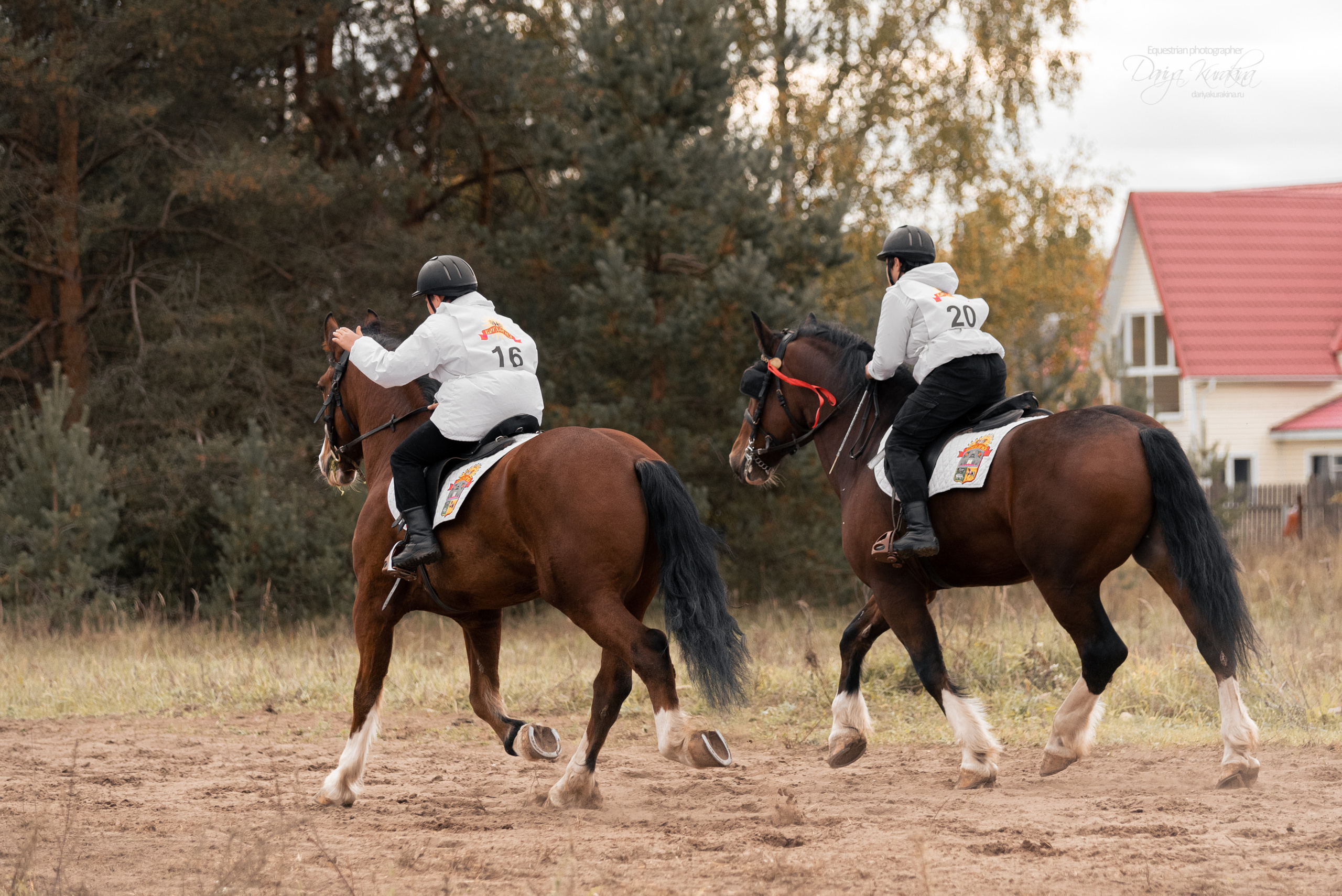 Богдарня. Конный фотограф Куракина Дарья • Фотосессии с лошадьми