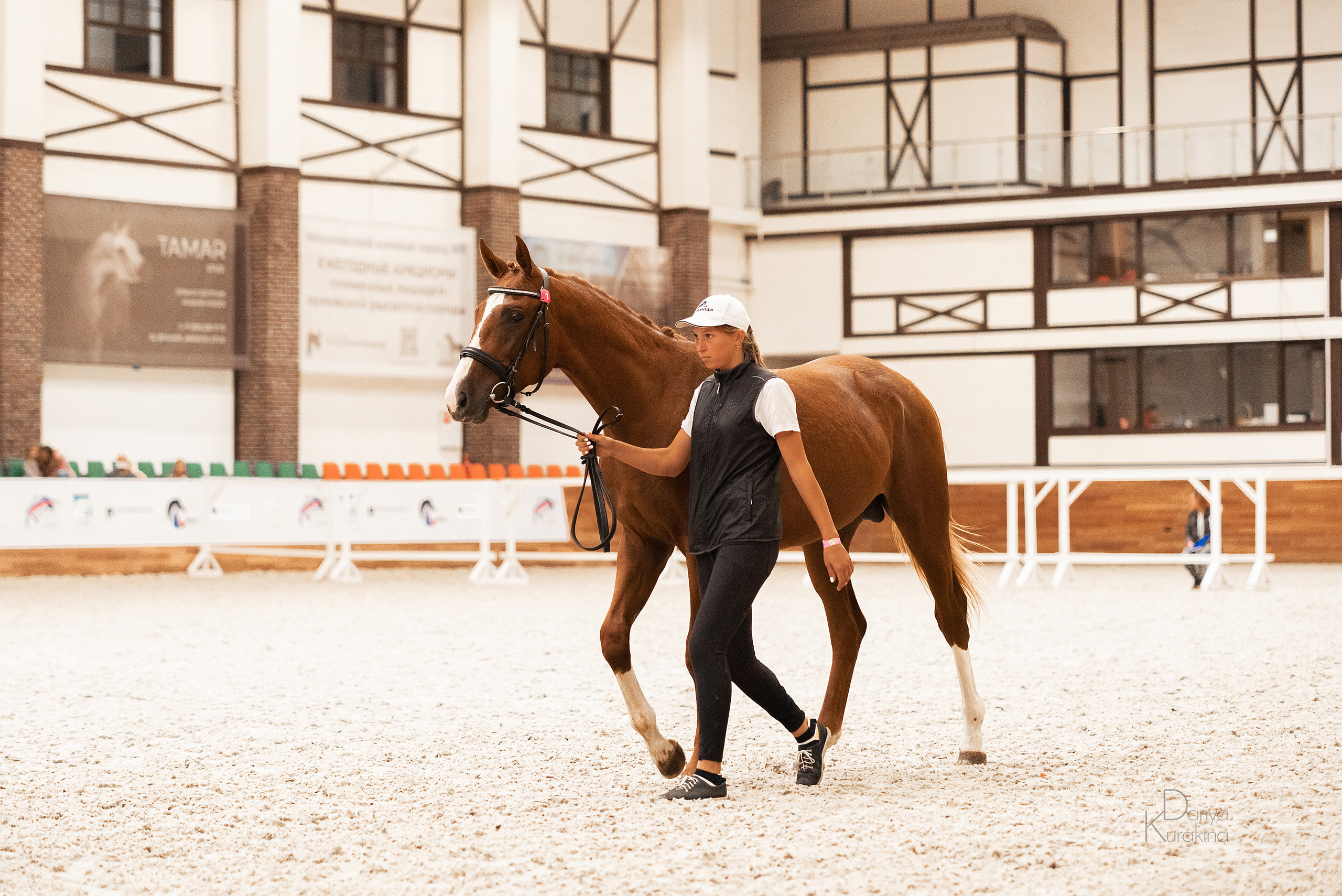Конная Россия 2021. Конный фотограф Куракина Дарья • Фотосессии с лошадьми