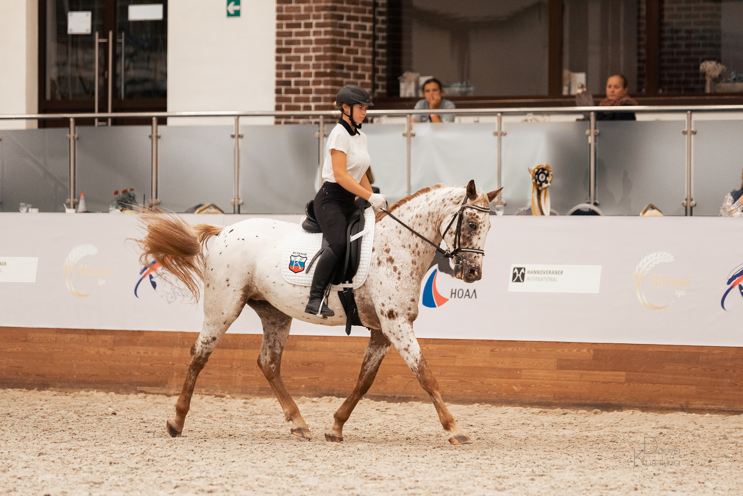 Конная Россия 2021. Конный фотограф Куракина Дарья • Фотосессии с лошадьми