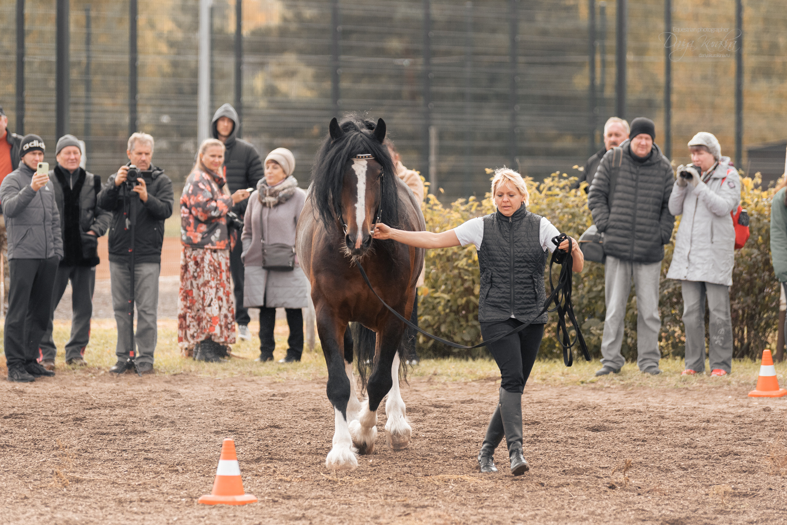 Богдарня. Конный фотограф Куракина Дарья • Фотосессии с лошадьми