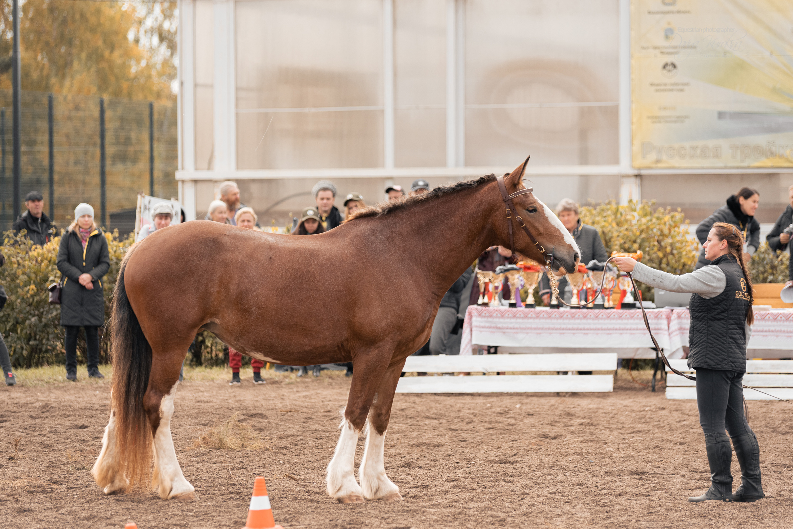 Богдарня. Конный фотограф Куракина Дарья • Фотосессии с лошадьми