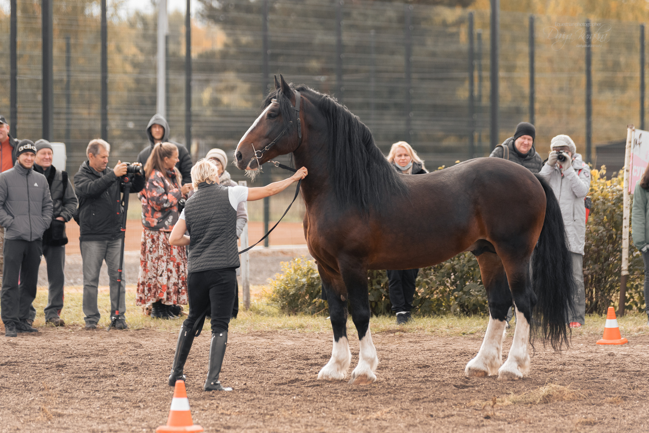 Богдарня. Конный фотограф Куракина Дарья • Фотосессии с лошадьми