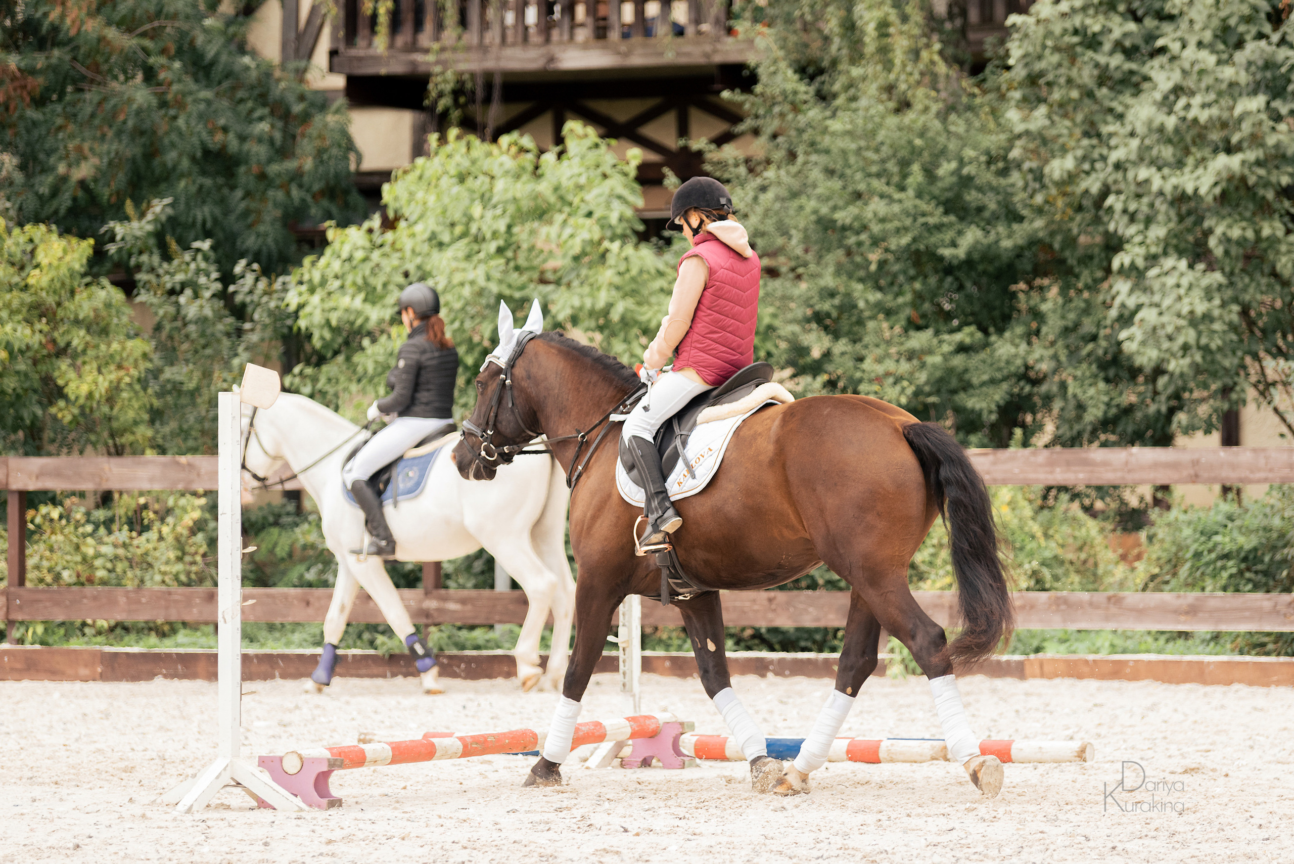 КСК Белая Дача, конкур. Конный фотограф Куракина Дарья • Фотосессии с лошадьми