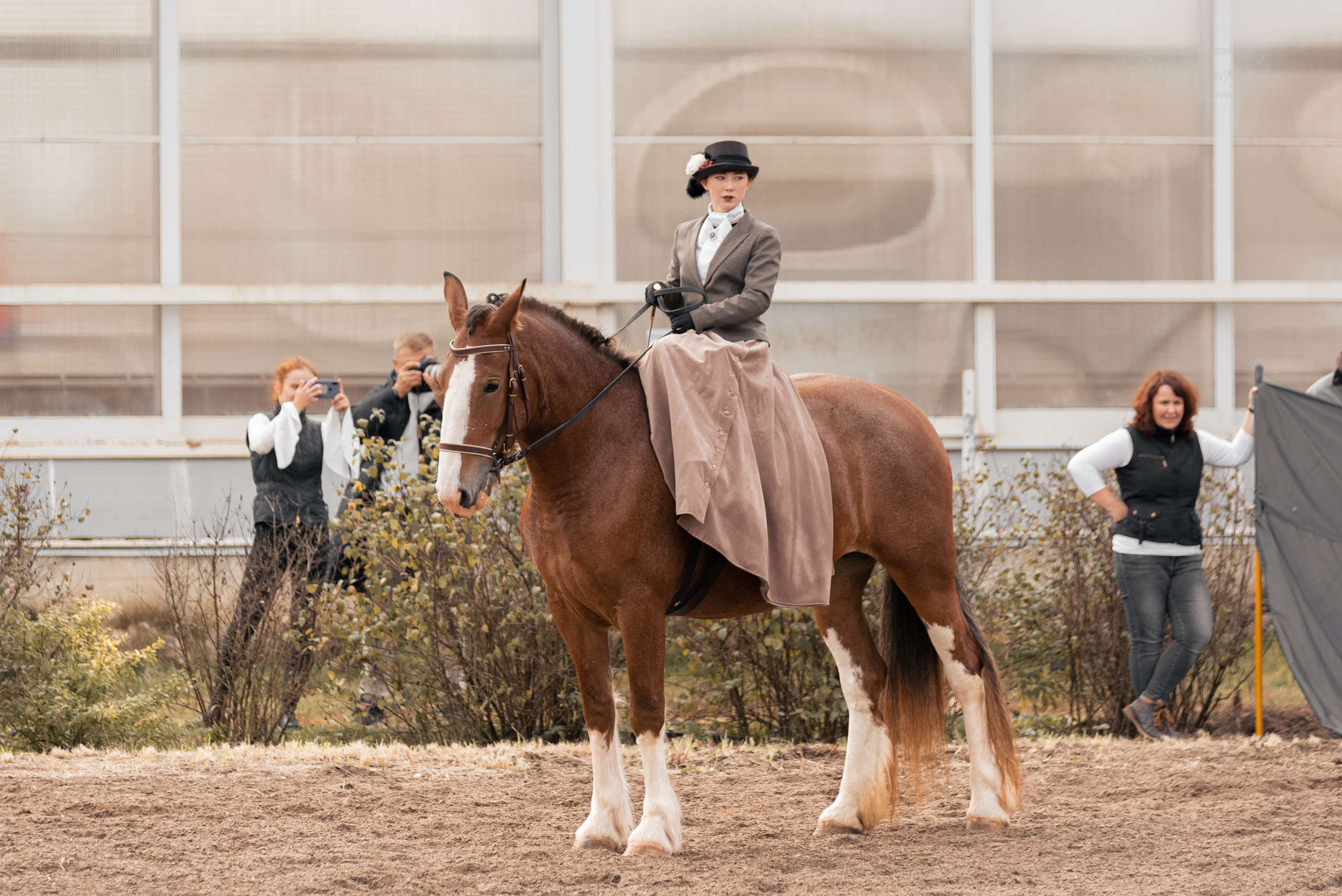 Богдарня. Конный фотограф Куракина Дарья • Фотосессии с лошадьми