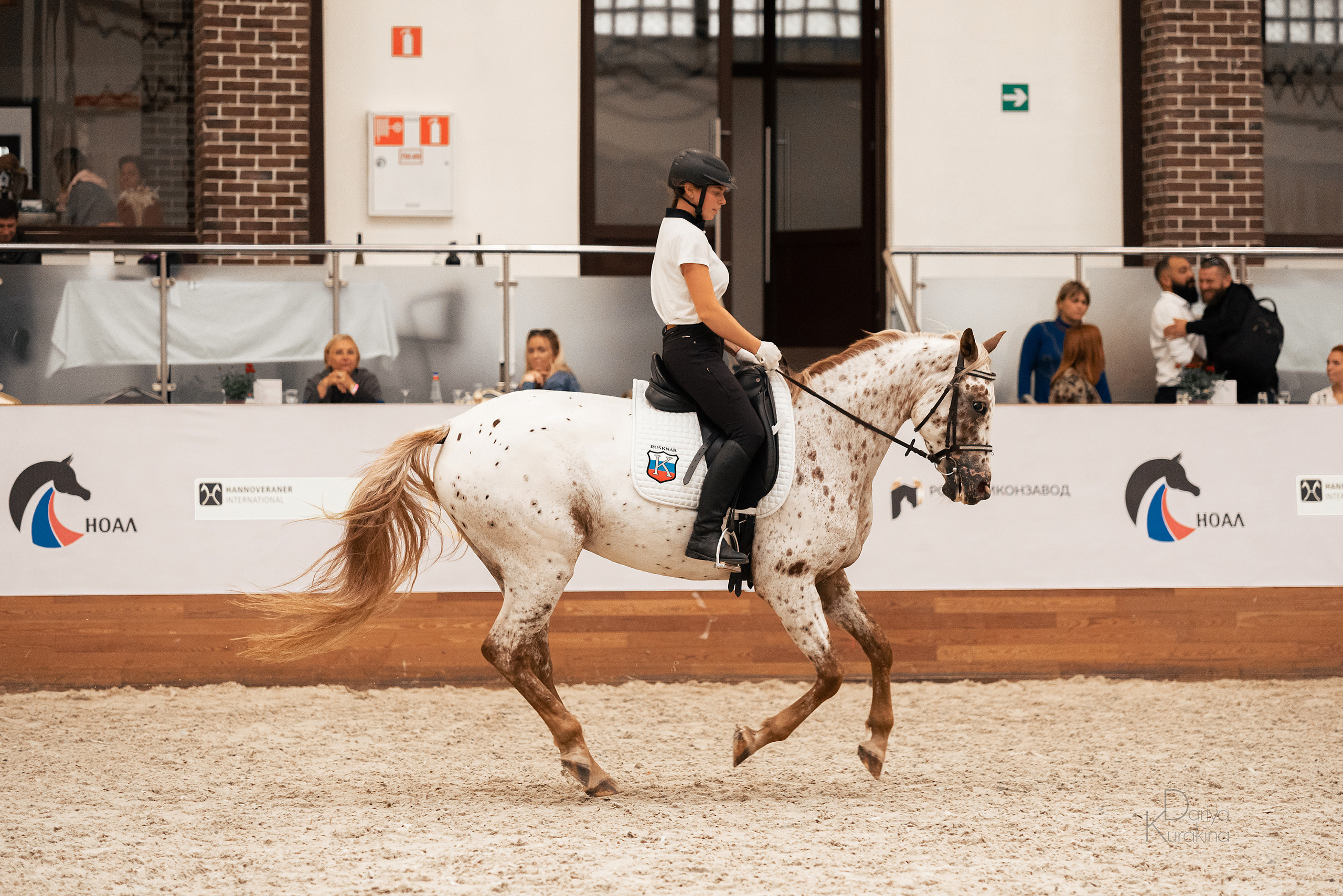 Конная Россия 2021. Конный фотограф Куракина Дарья • Фотосессии с лошадьми