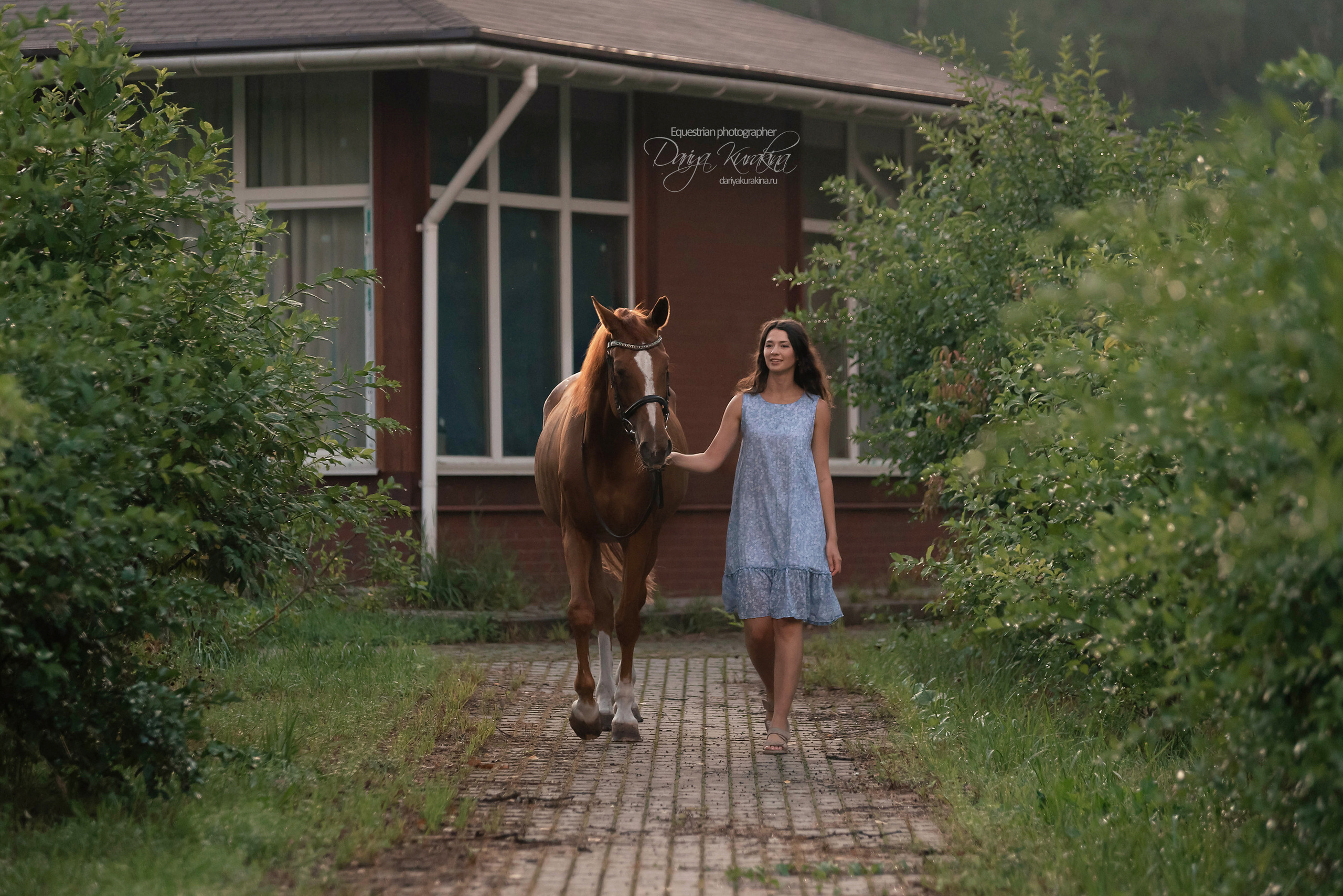 Яна и Леди. Конный фотограф Куракина Дарья • Фотосессии с лошадьми