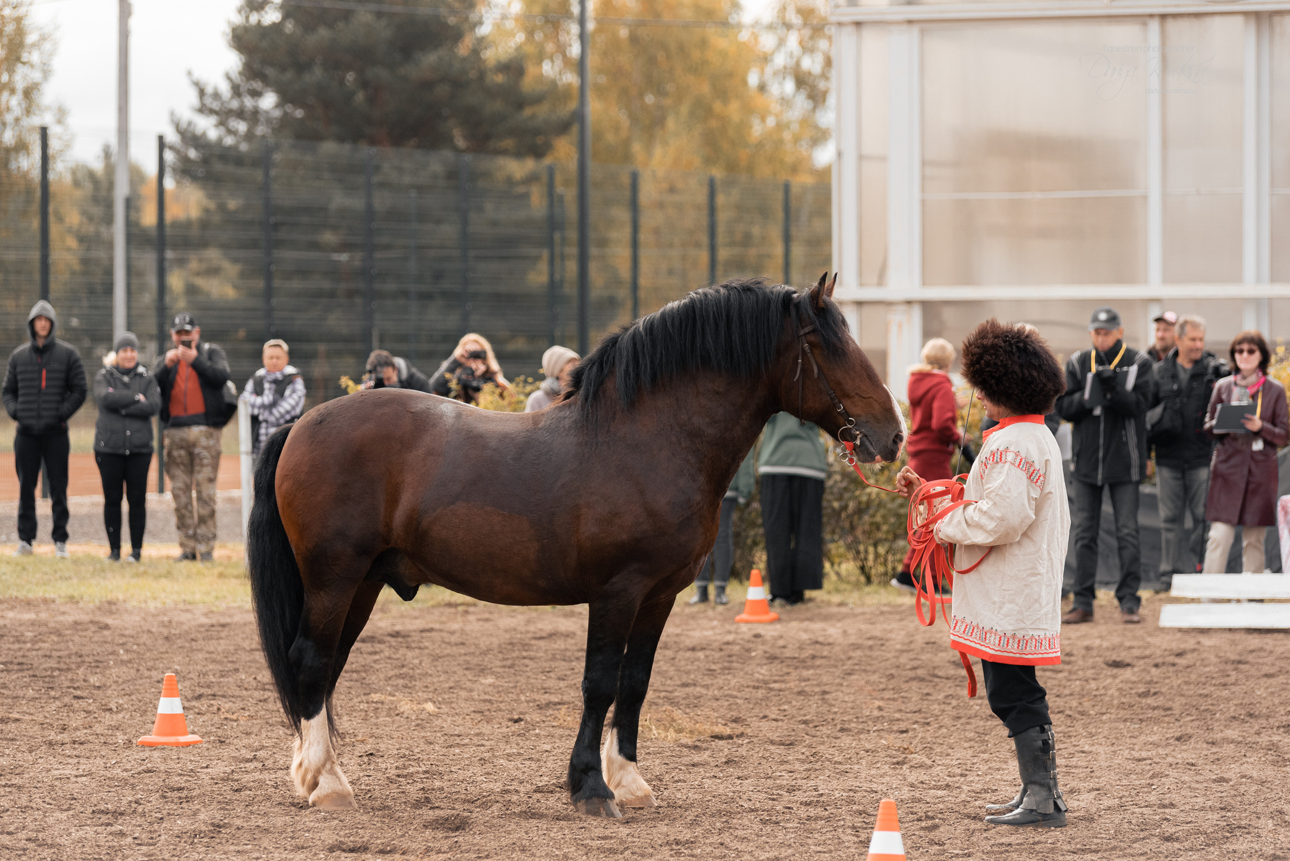 Богдарня. Конный фотограф Куракина Дарья • Фотосессии с лошадьми