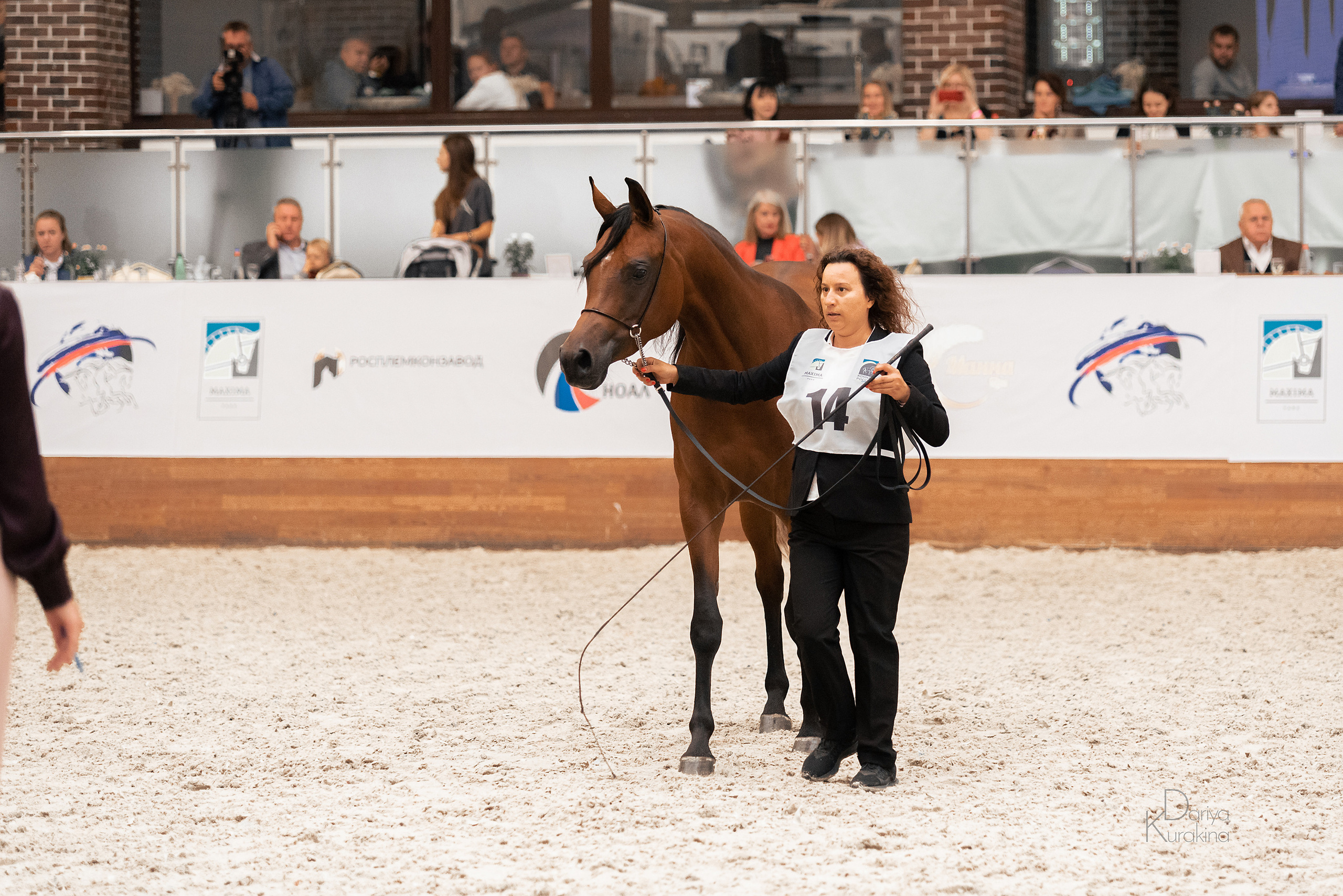 Конная Россия 2021. Конный фотограф Куракина Дарья • Фотосессии с лошадьми