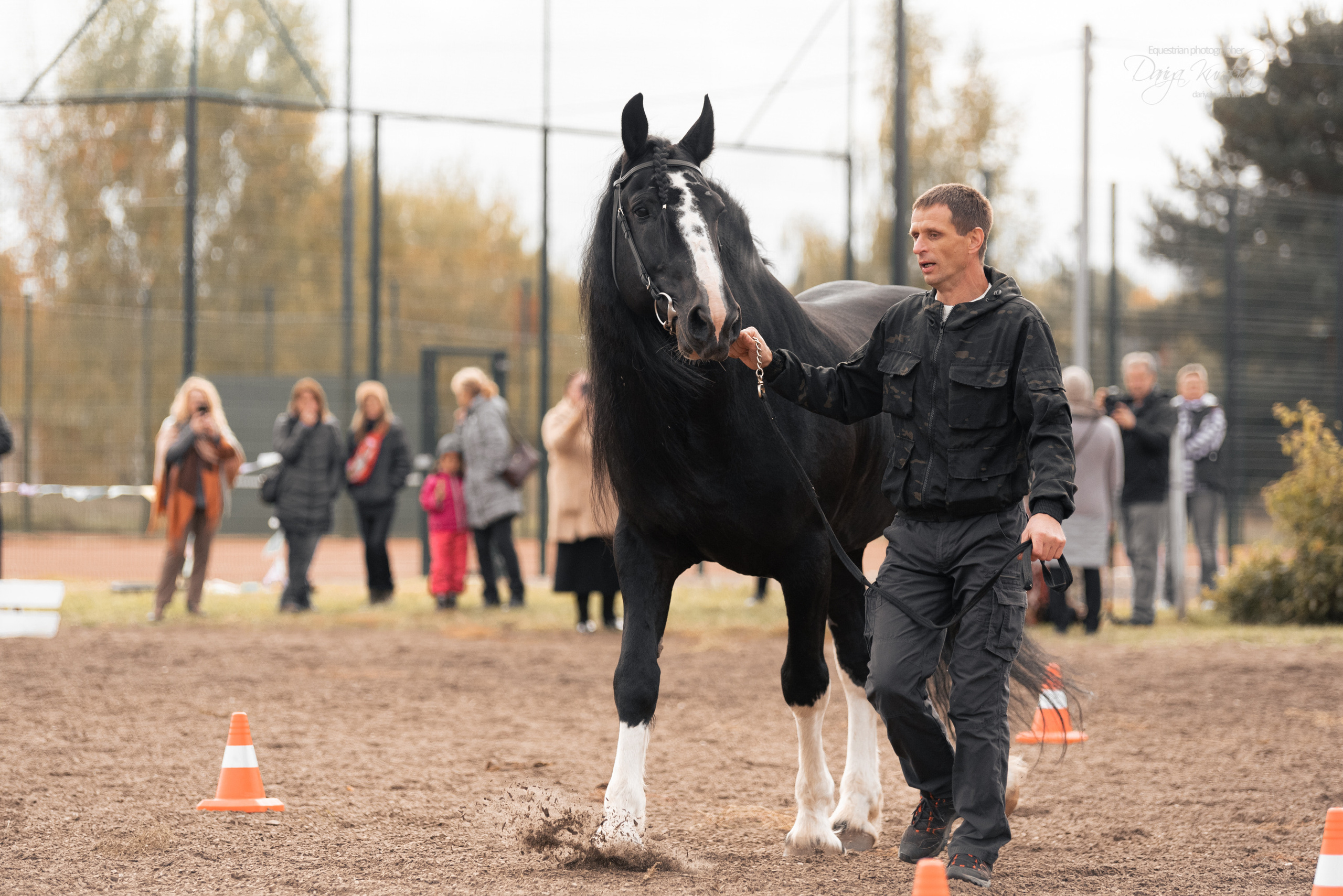 Богдарня. Конный фотограф Куракина Дарья • Фотосессии с лошадьми