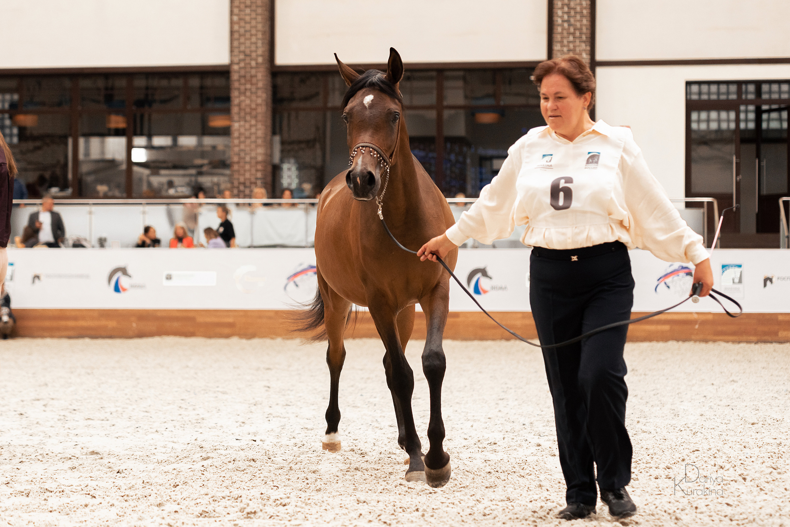Конная Россия 2021. Конный фотограф Куракина Дарья • Фотосессии с лошадьми