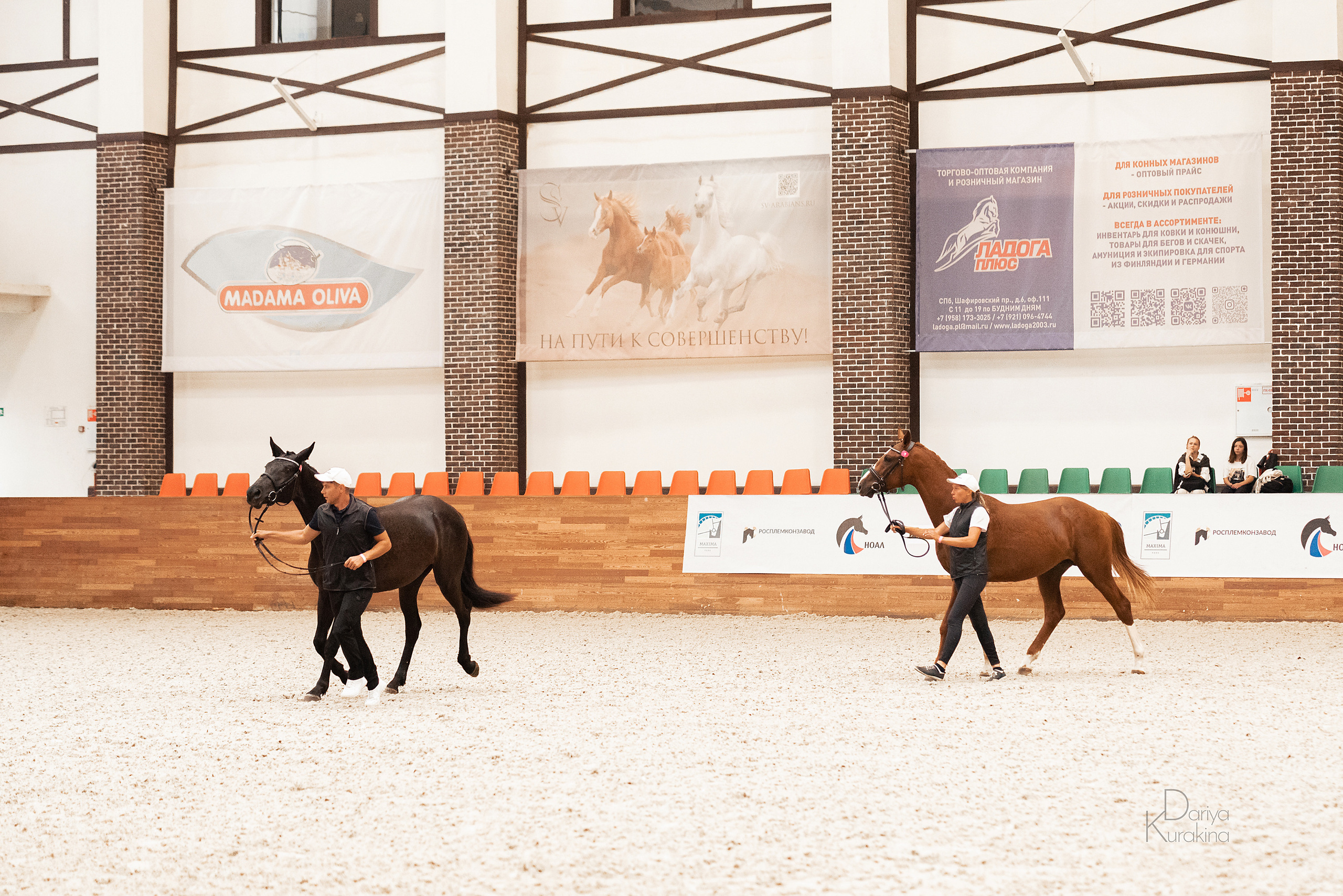 Конная Россия 2021. Конный фотограф Куракина Дарья • Фотосессии с лошадьми