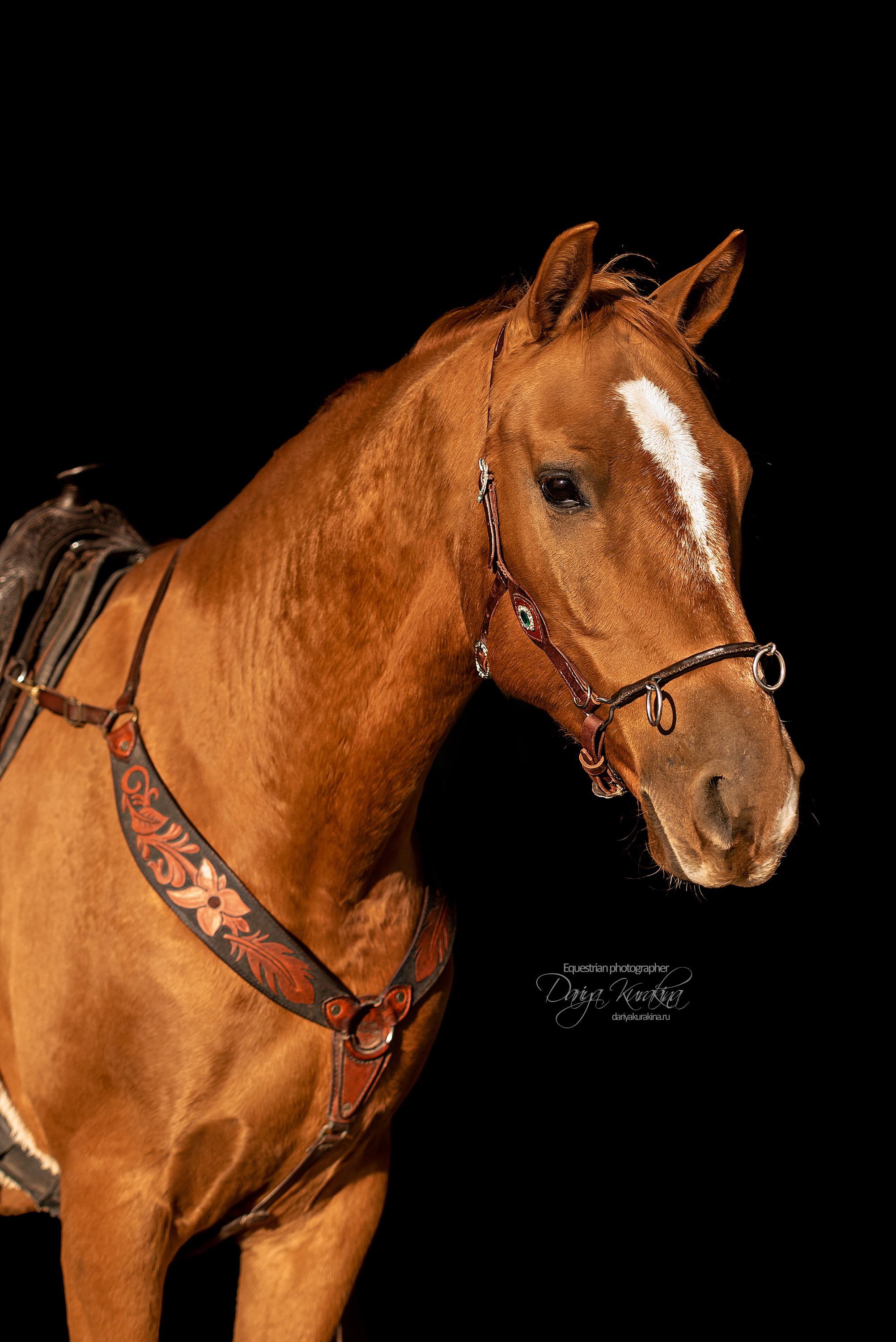 Юля, Маша и Барабан. Конный фотограф Куракина Дарья • Фотосессии с лошадьми