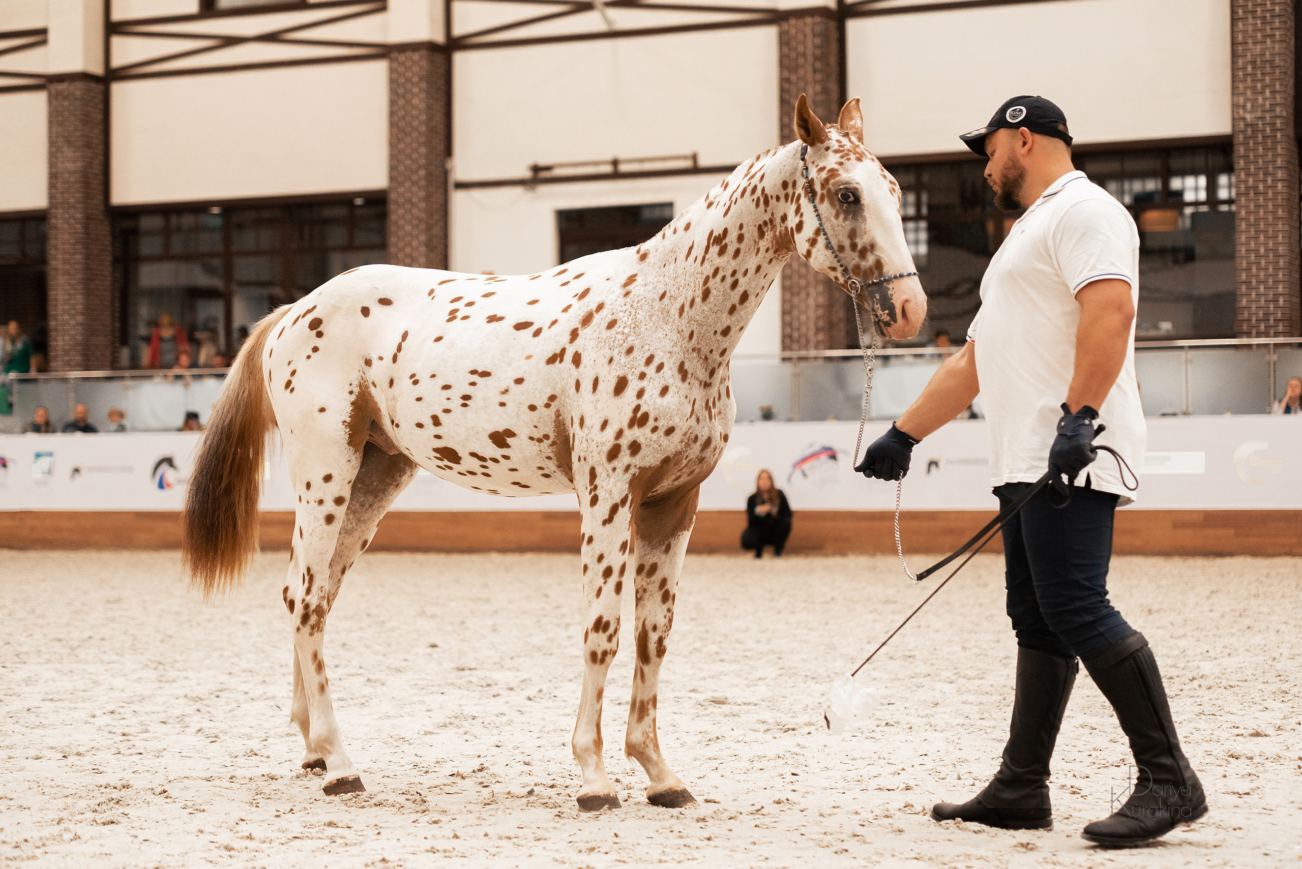 Конная Россия 2021. Конный фотограф Куракина Дарья • Фотосессии с лошадьми