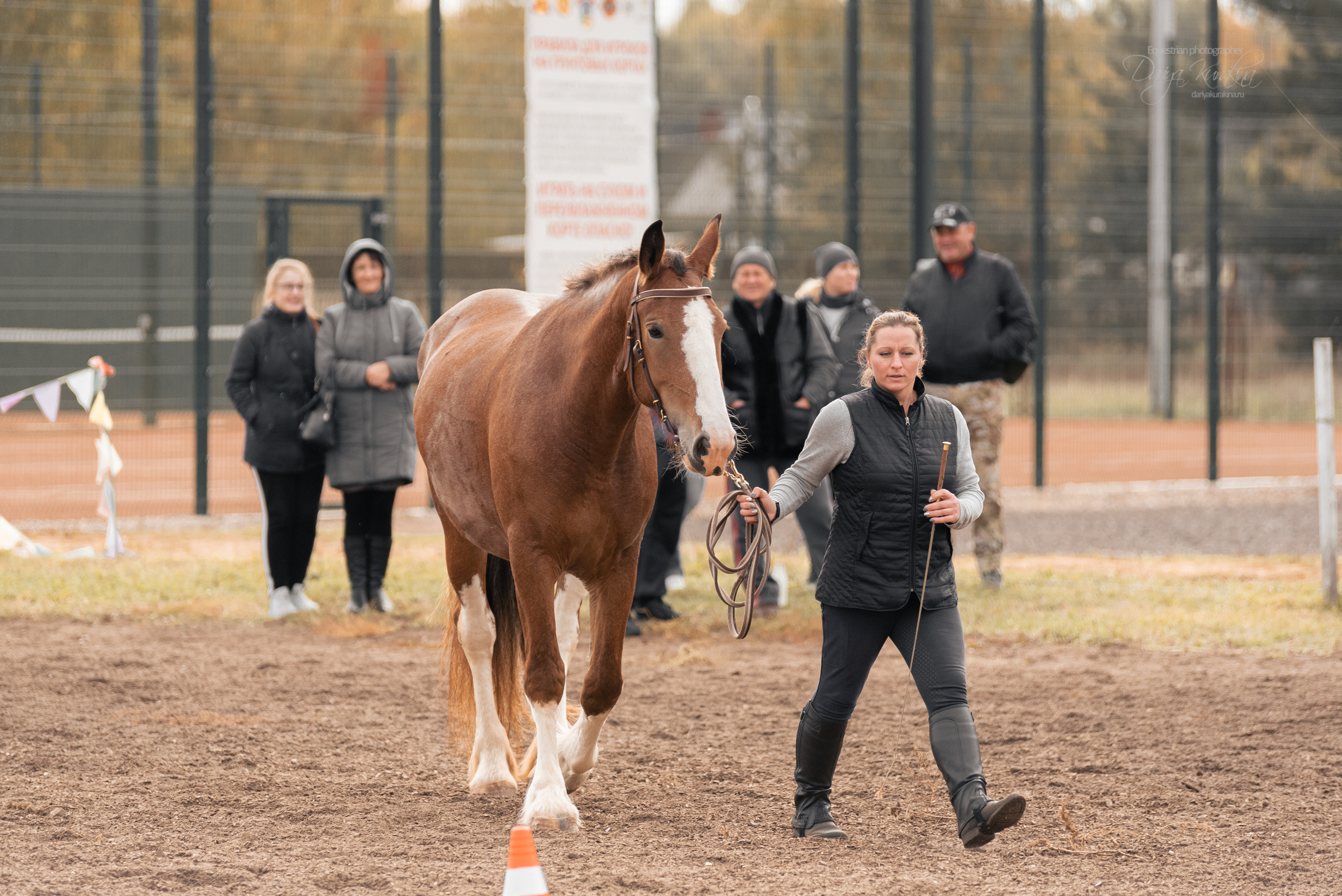 Богдарня. Конный фотограф Куракина Дарья • Фотосессии с лошадьми
