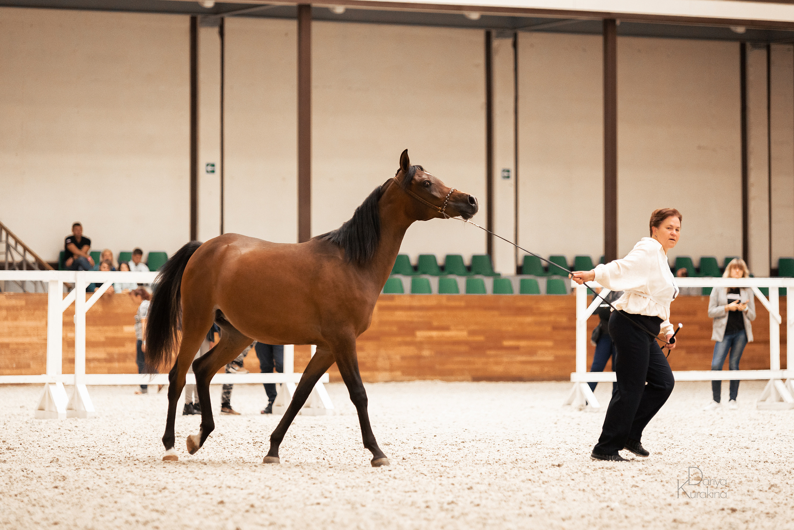 Конная Россия 2021. Конный фотограф Куракина Дарья • Фотосессии с лошадьми