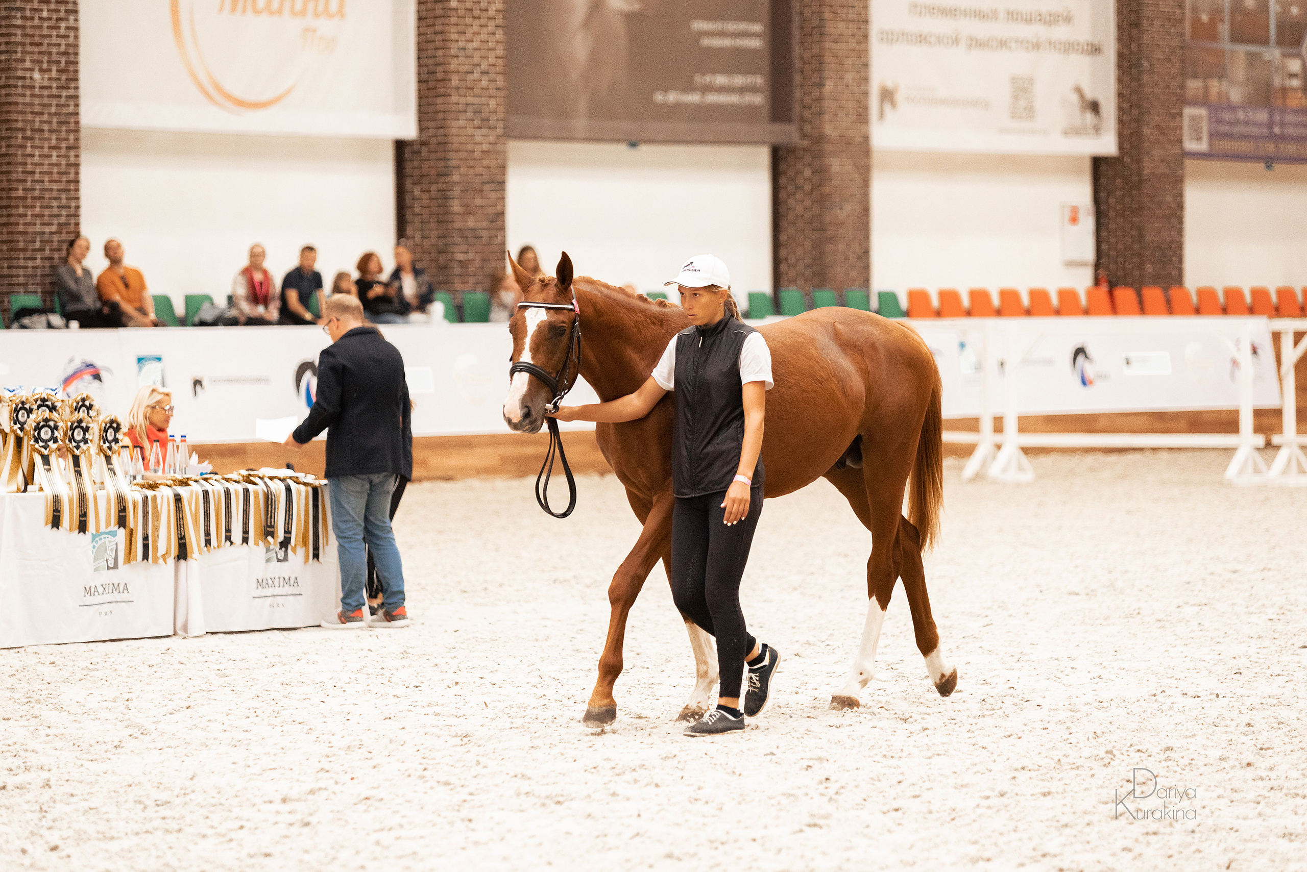 Конная Россия 2021. Конный фотограф Куракина Дарья • Фотосессии с лошадьми