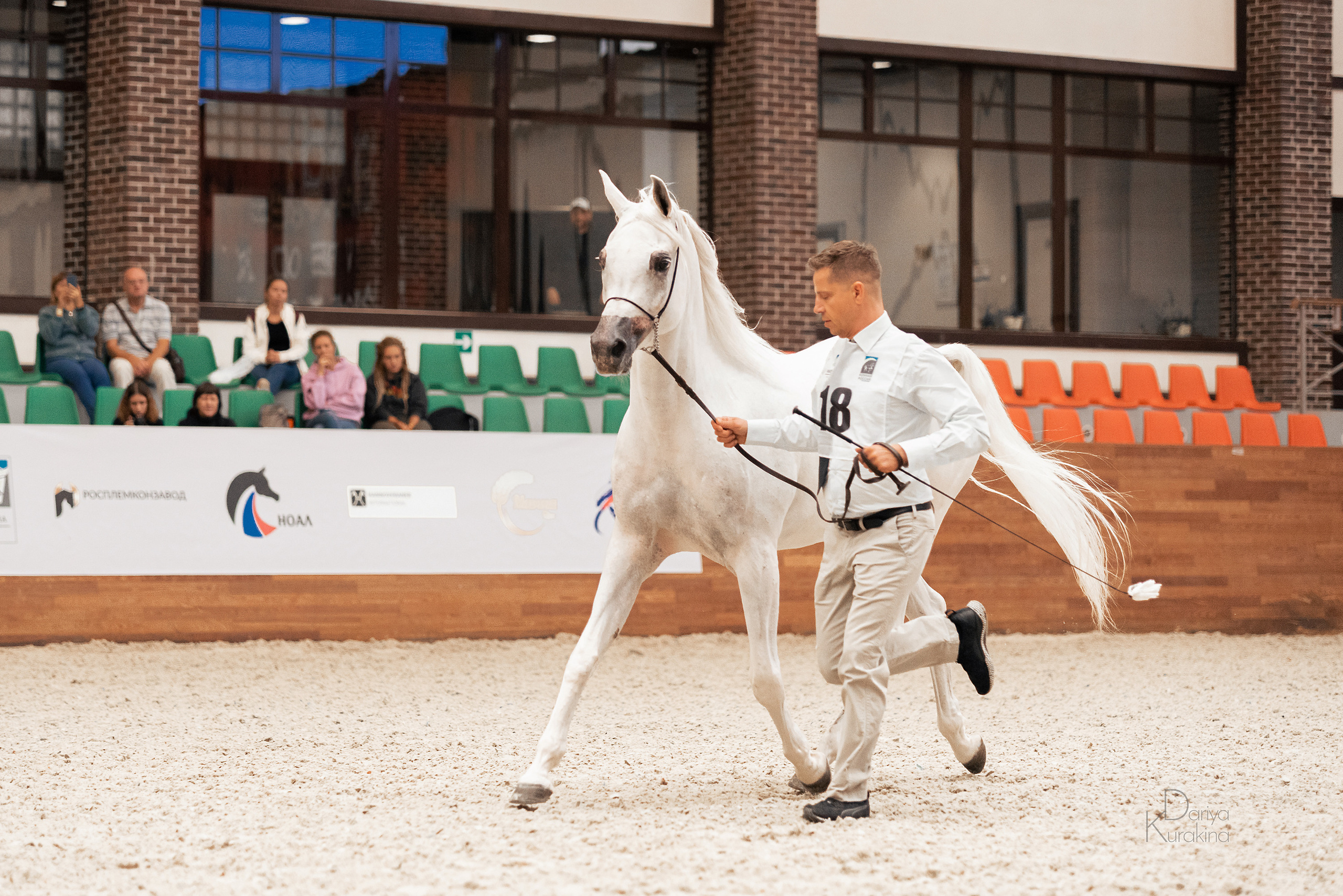 Конная Россия 2021. Конный фотограф Куракина Дарья • Фотосессии с лошадьми