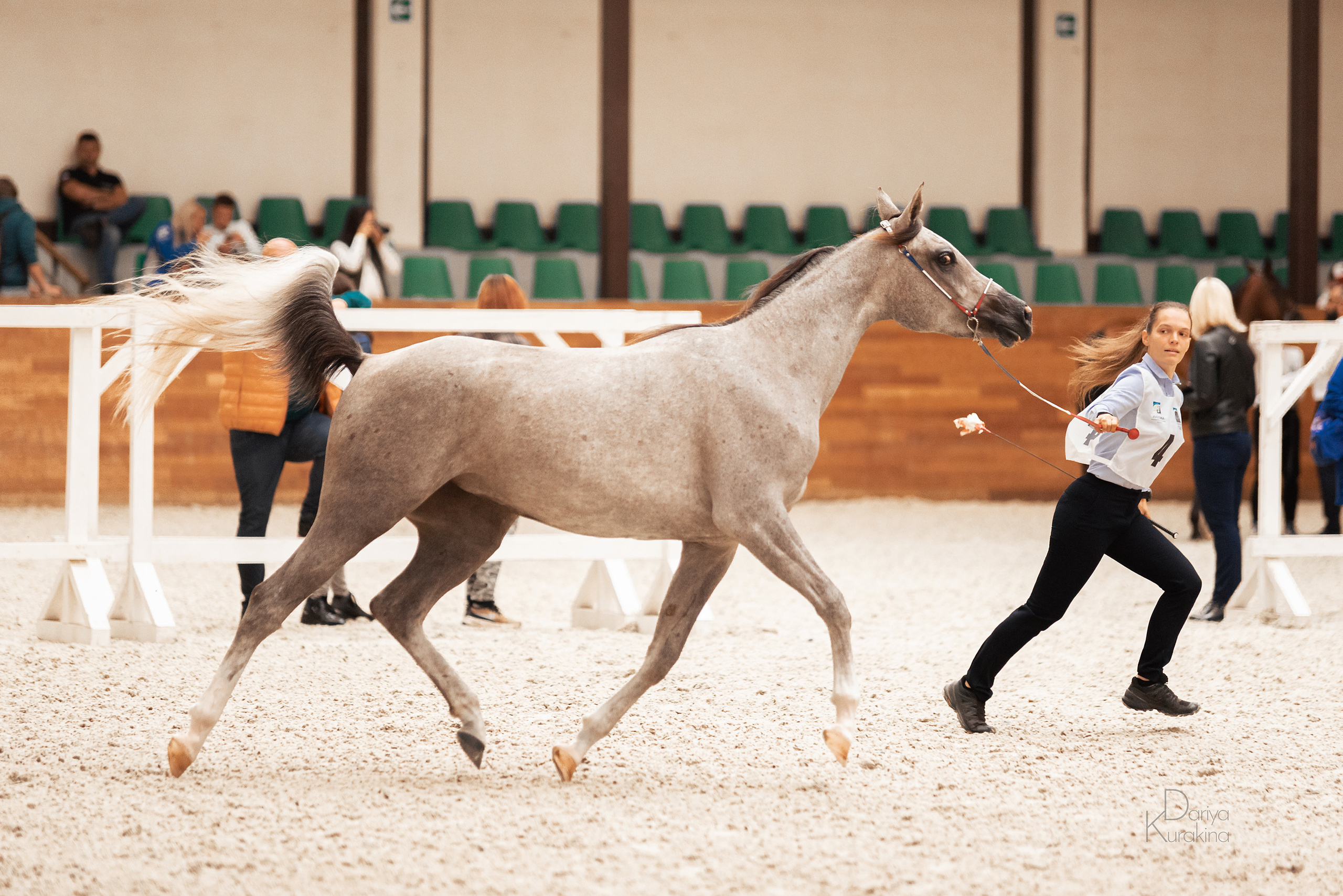 Конная Россия 2021. Конный фотограф Куракина Дарья • Фотосессии с лошадьми