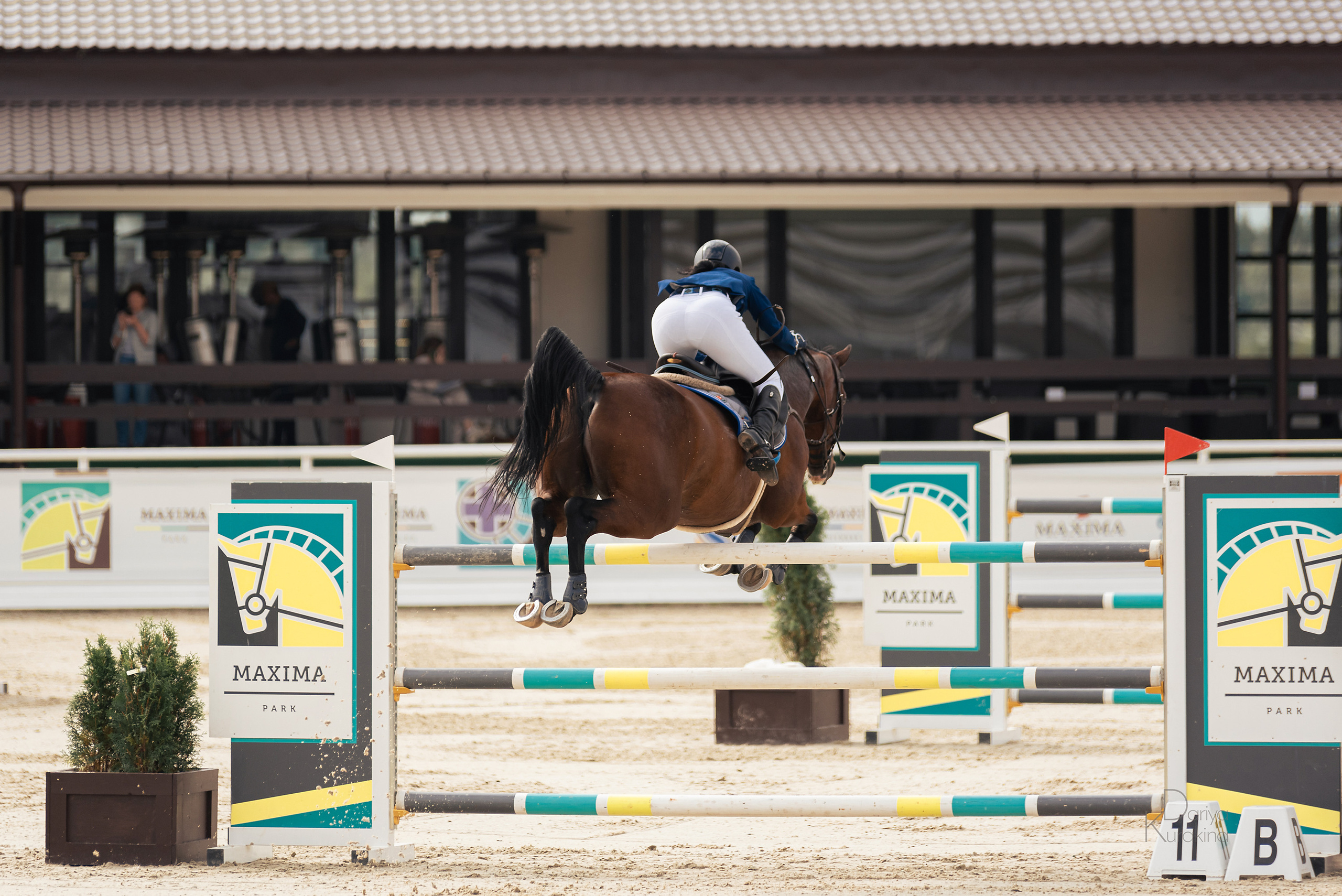 Конная Россия 2021. Конный фотограф Куракина Дарья • Фотосессии с лошадьми