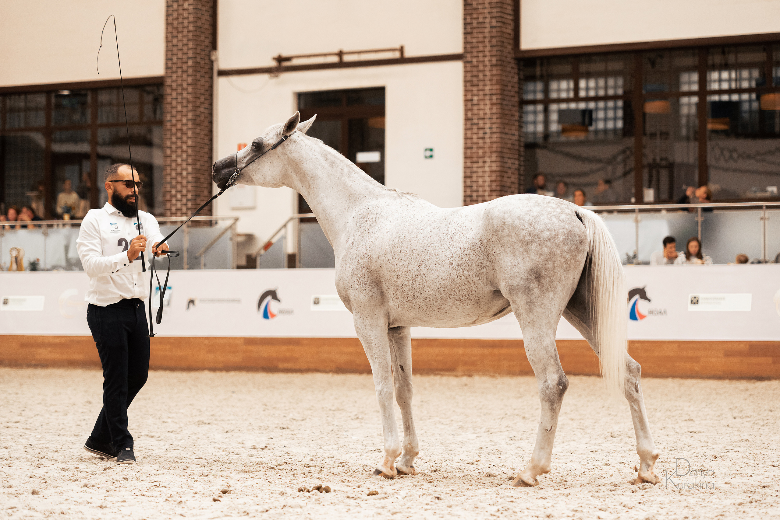 Конная Россия 2021. Конный фотограф Куракина Дарья • Фотосессии с лошадьми