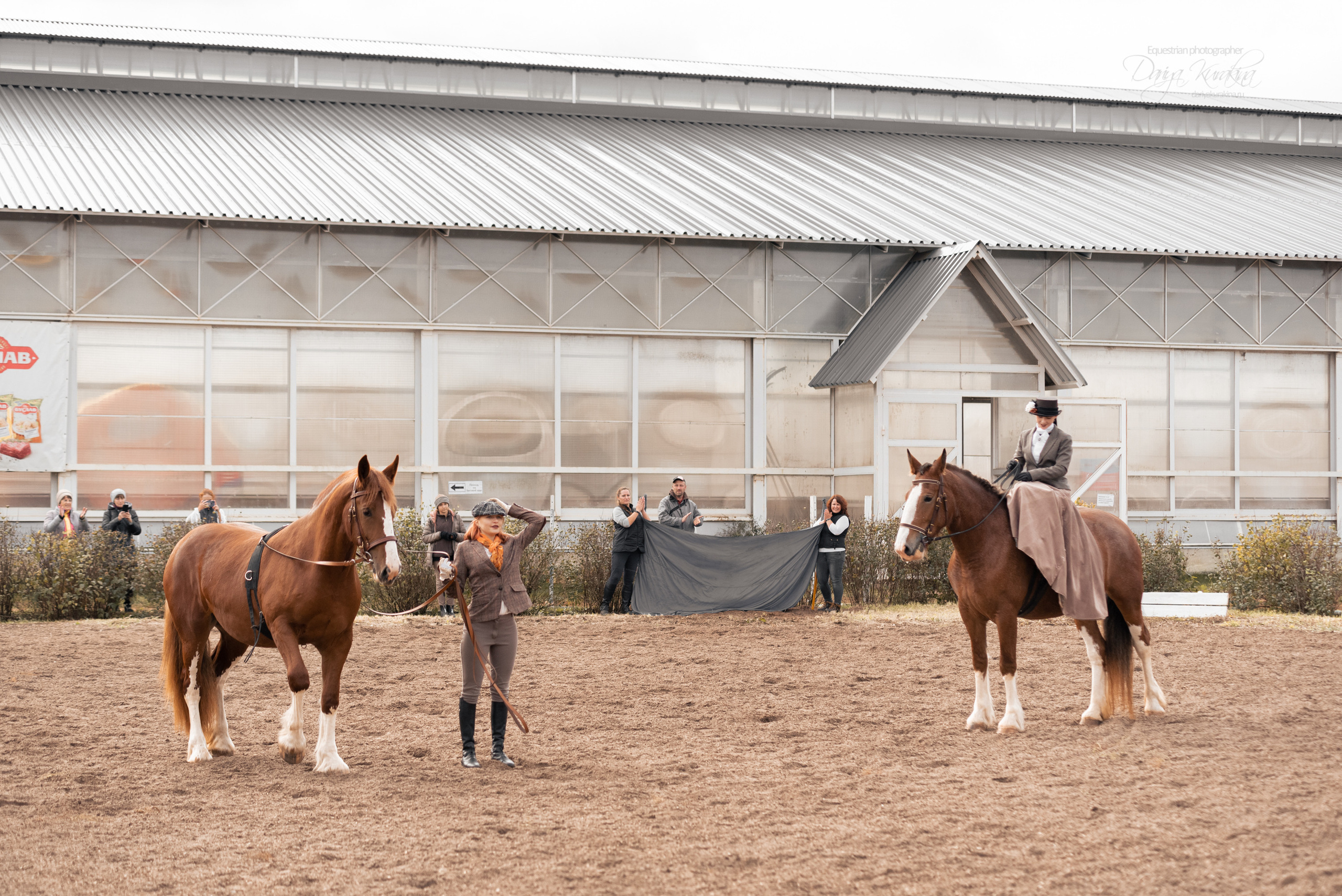 Богдарня. Конный фотограф Куракина Дарья • Фотосессии с лошадьми